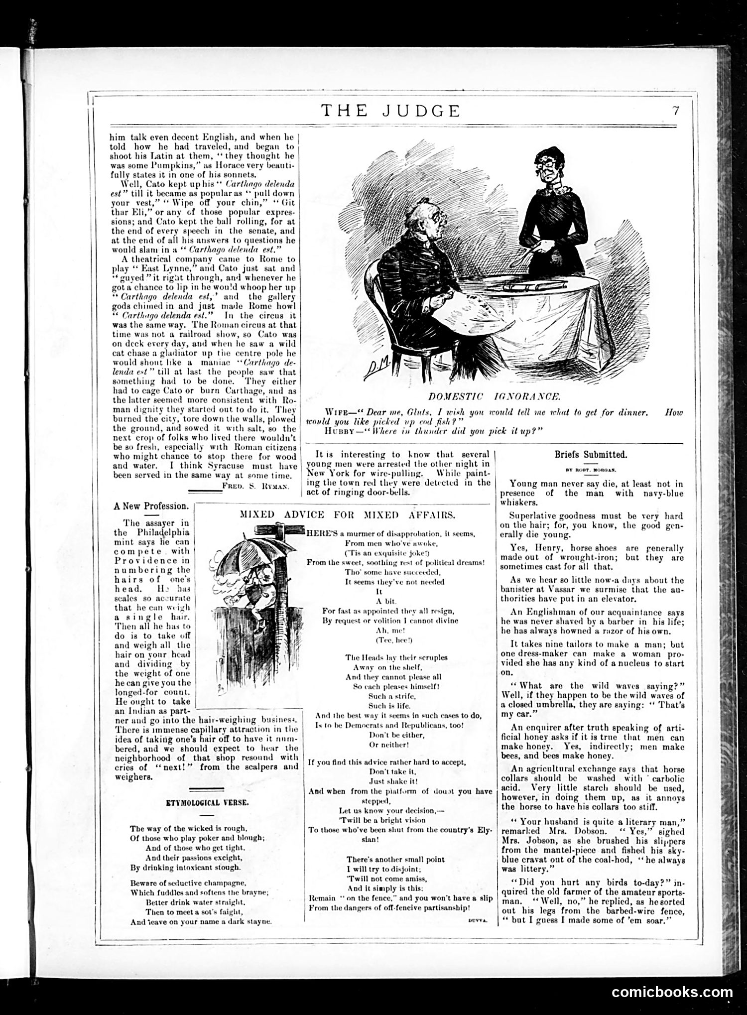 Judge — August 22, 1885 — page 7 of 16