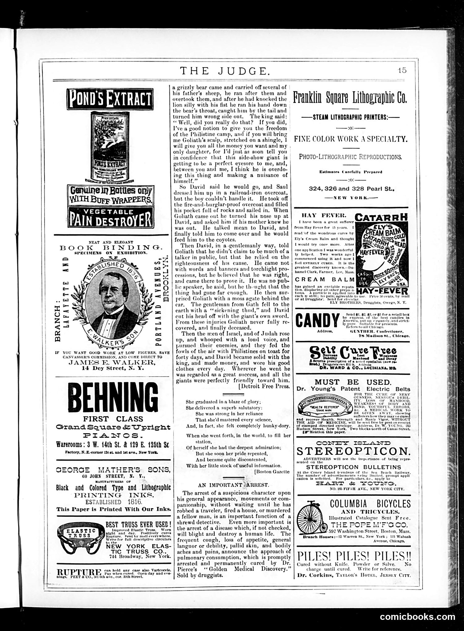 Judge — August 22, 1885 — page 15 of 16