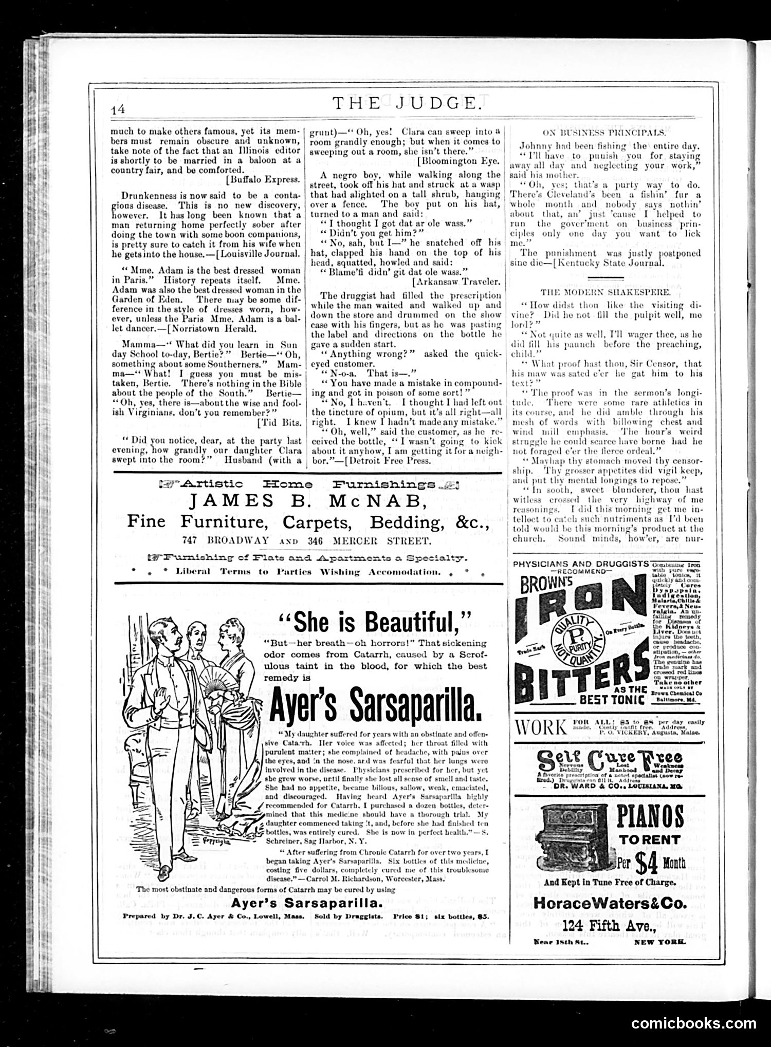 Judge — October 3, 1885 — page 14 of 16