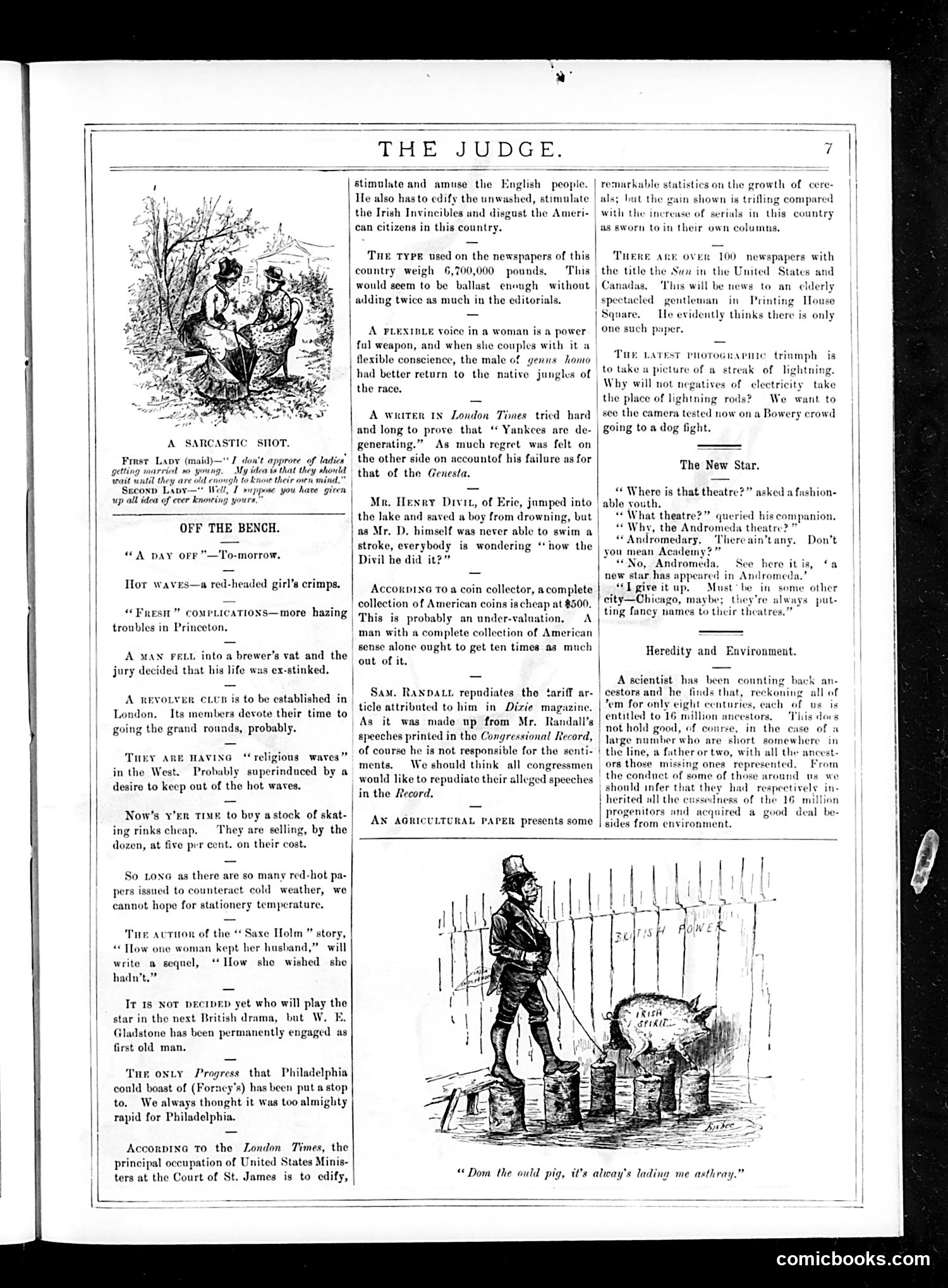 Judge — October 10, 1885 — page 7 of 17