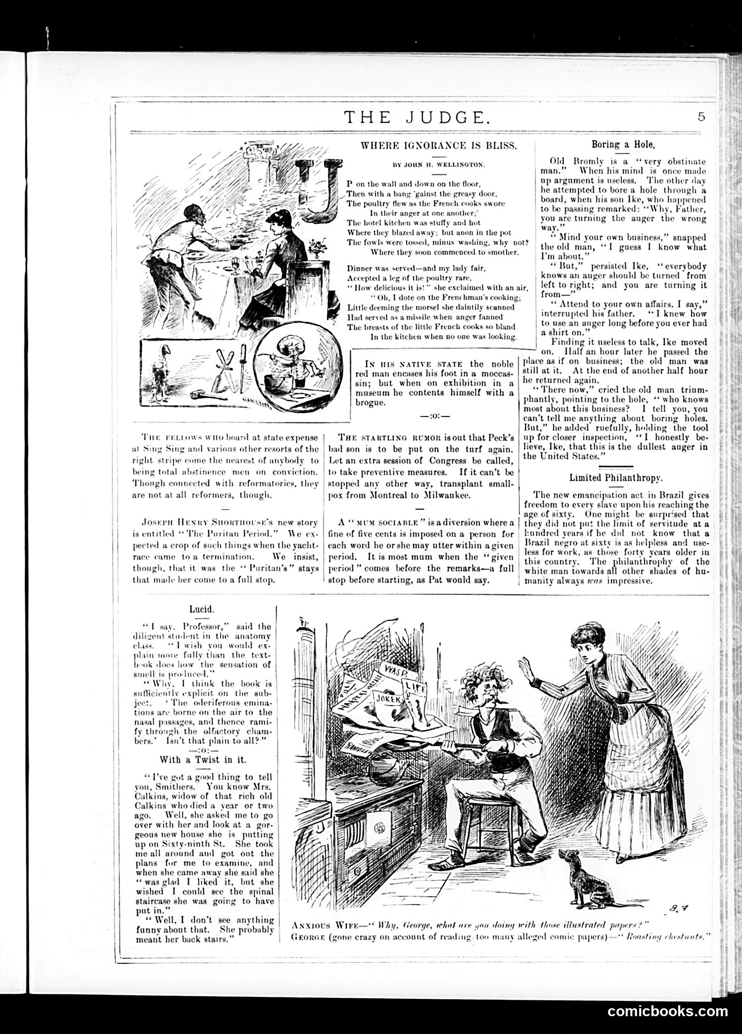 Judge — October 31, 1885 — page 5 of 16