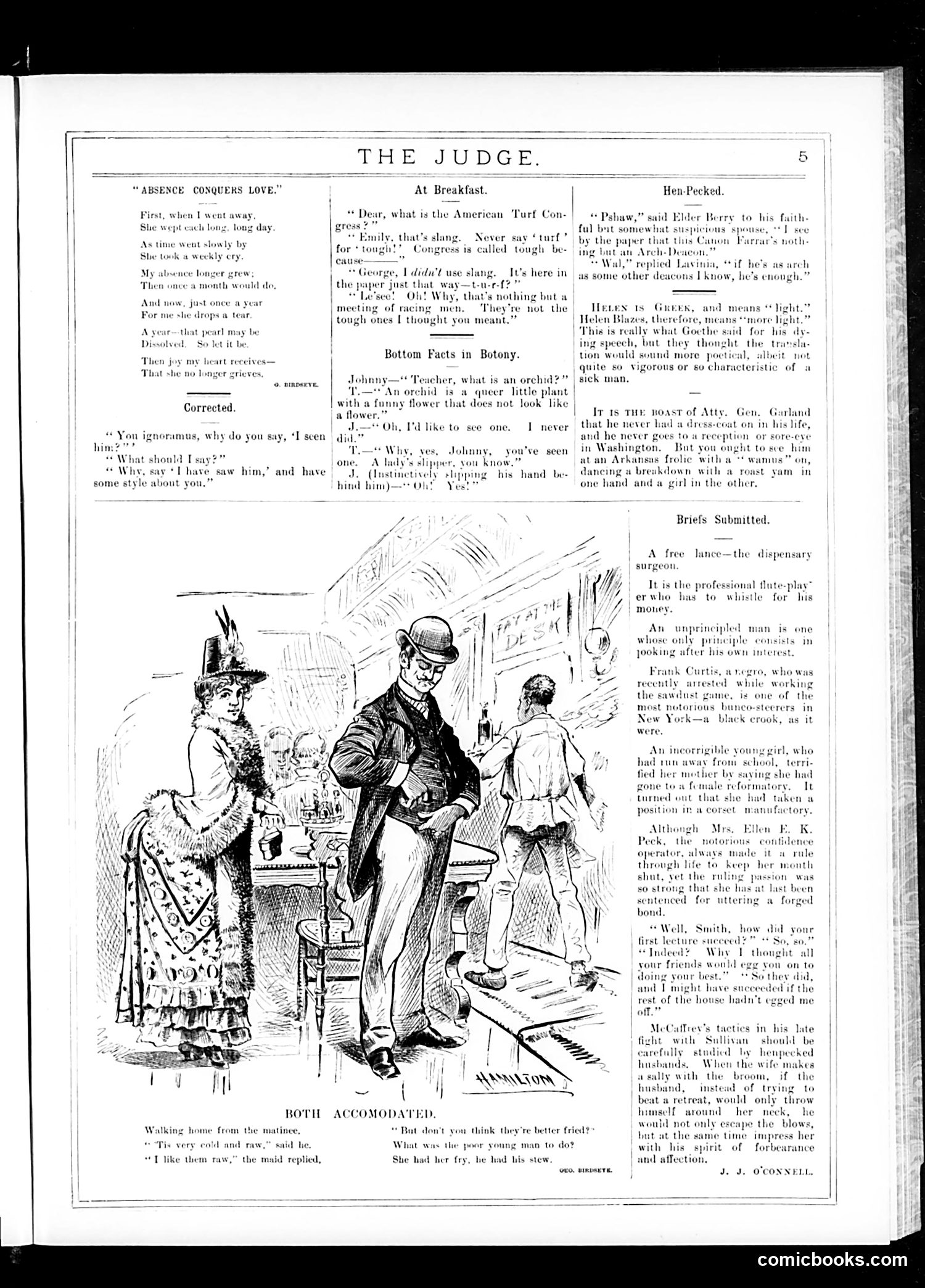 Judge — November 28, 1885 — page 5 of 16