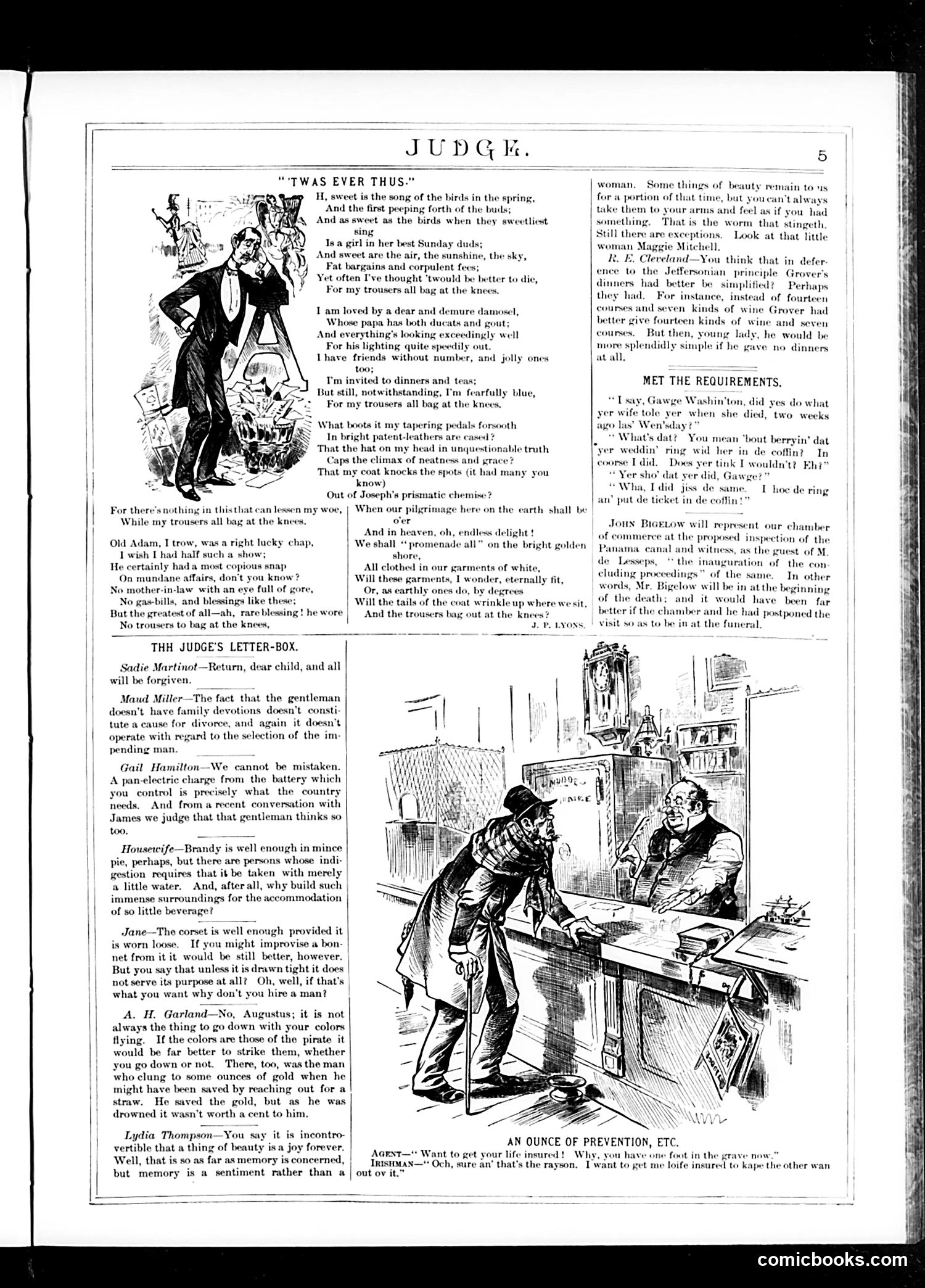 Judge — February 27, 1886 — page 5 of 16