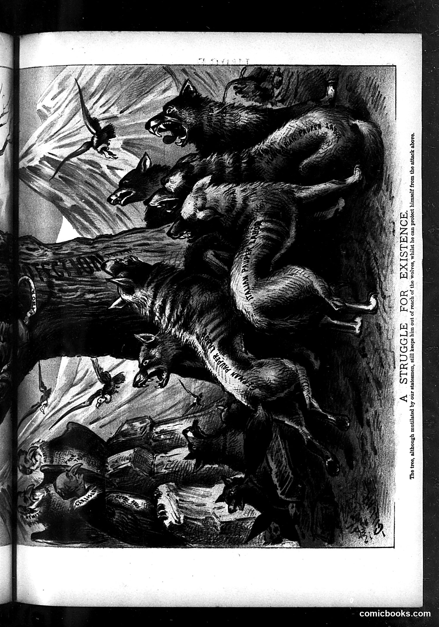 Judge — April 17, 1886 — page 11 of 18