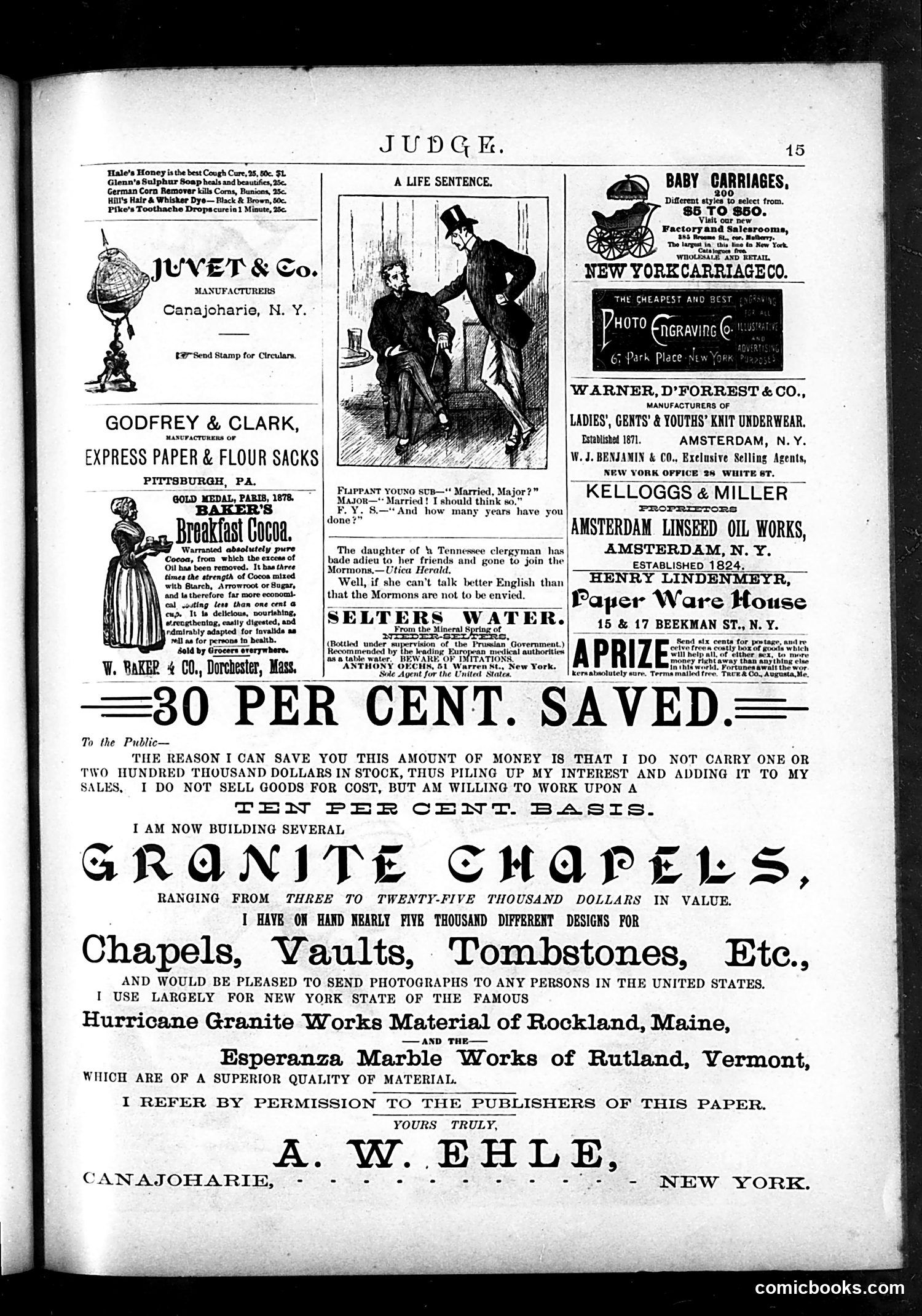 Judge — May 15, 1886 — page 15 of 16
