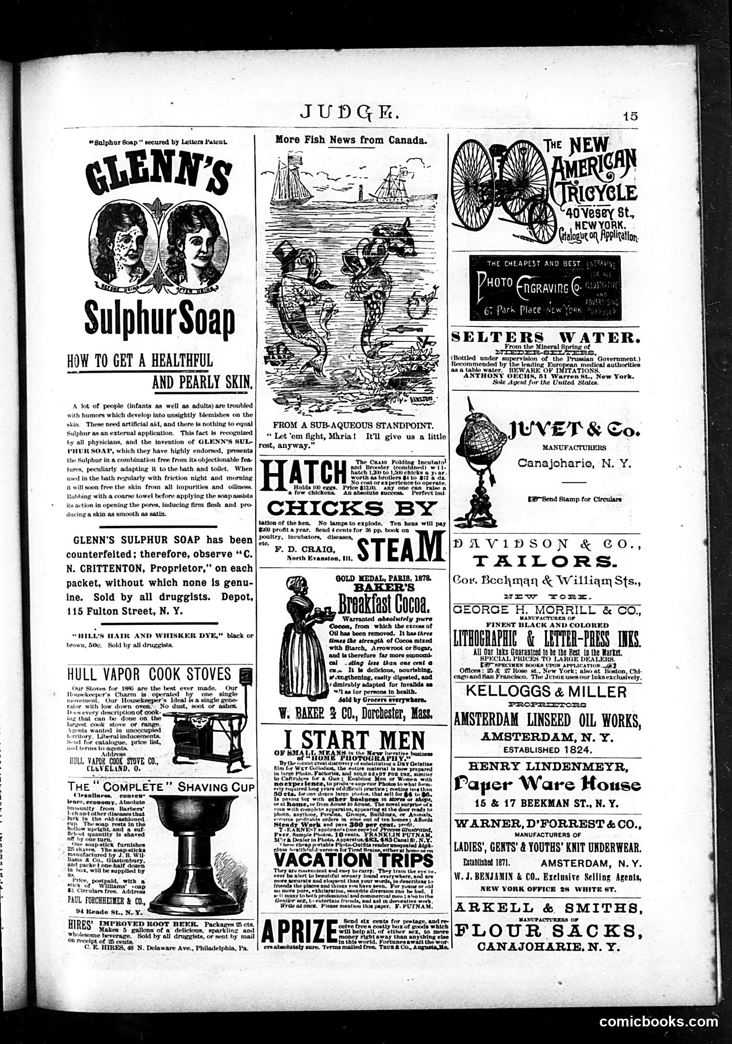 Judge — June 12, 1886 — page 17 of 18