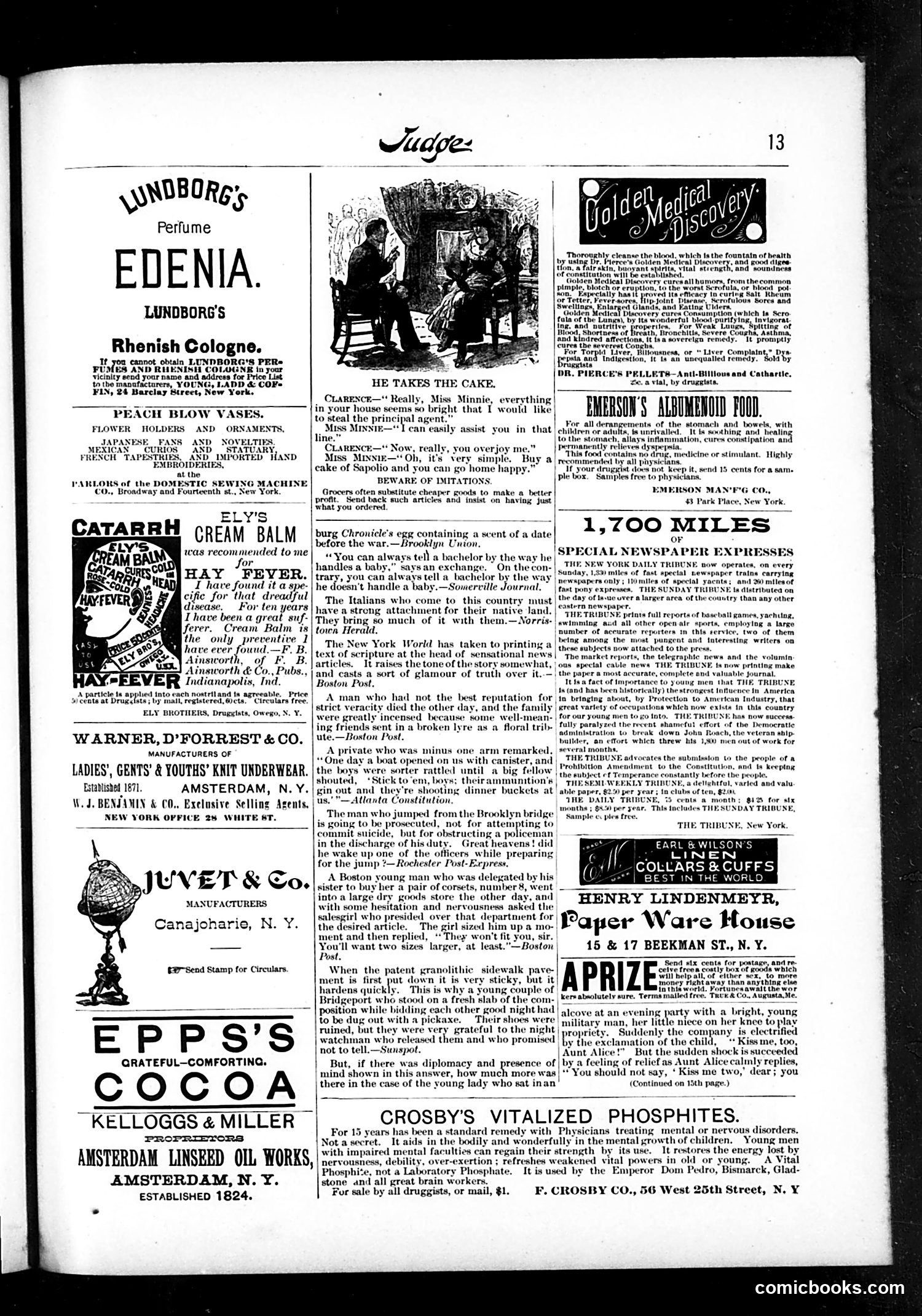 Judge — August 21, 1886 — page 13 of 16