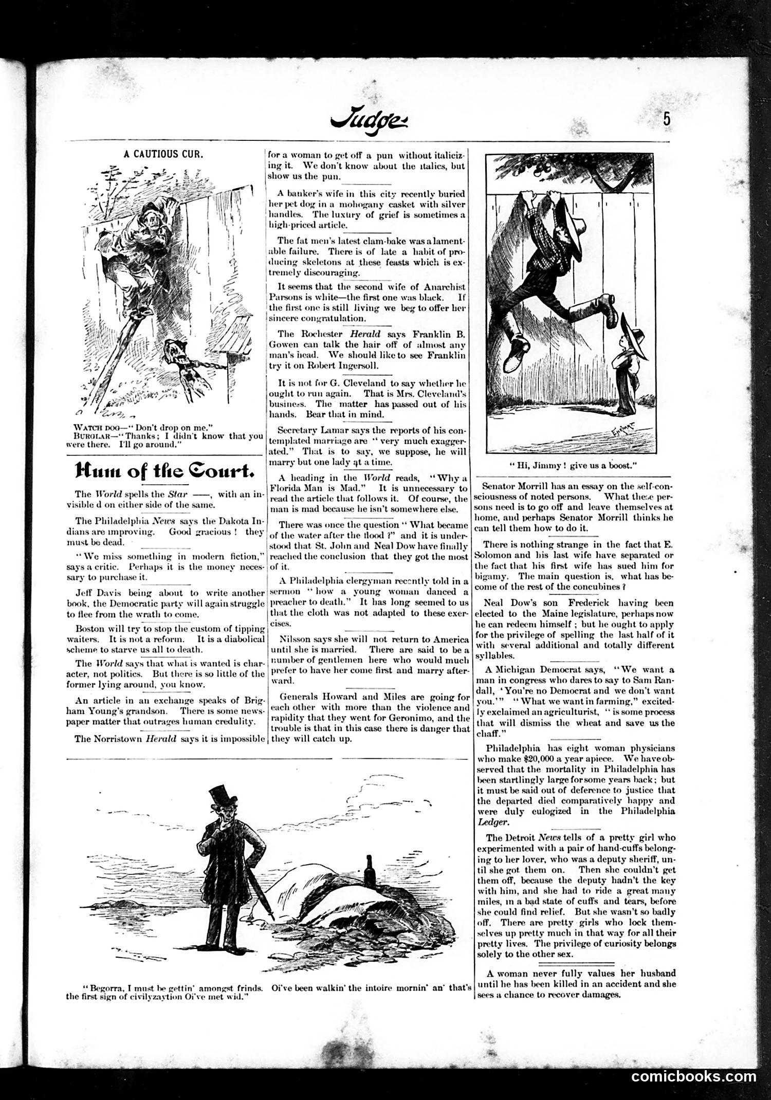 Judge — October 9, 1886 — page 5 of 17