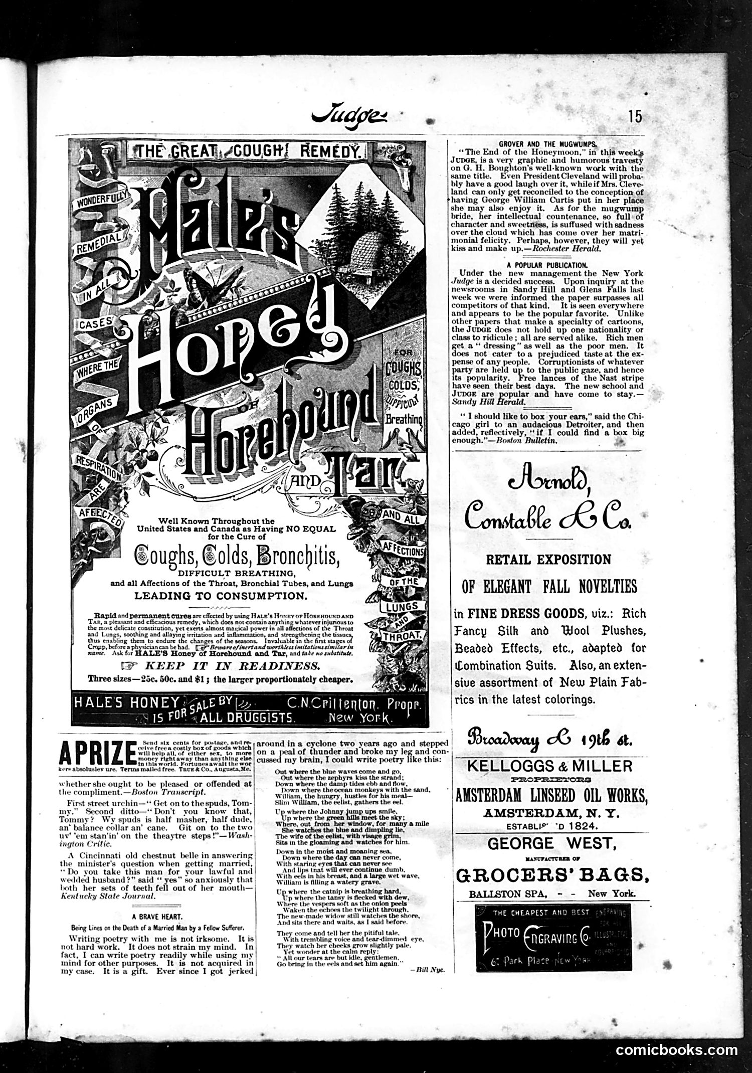 Judge — October 9, 1886 — page 15 of 17