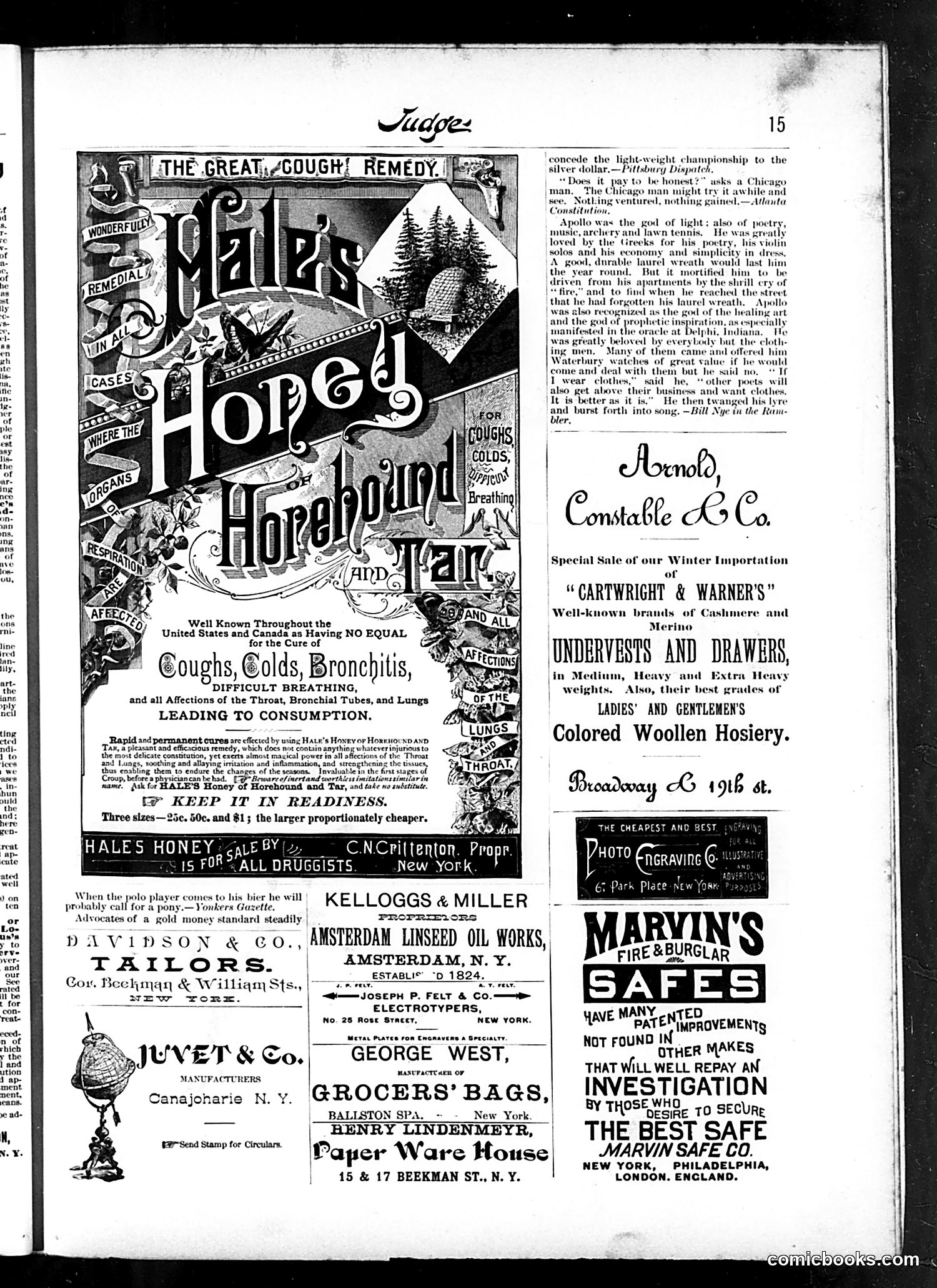 Judge — October 16, 1886 — page 17 of 18