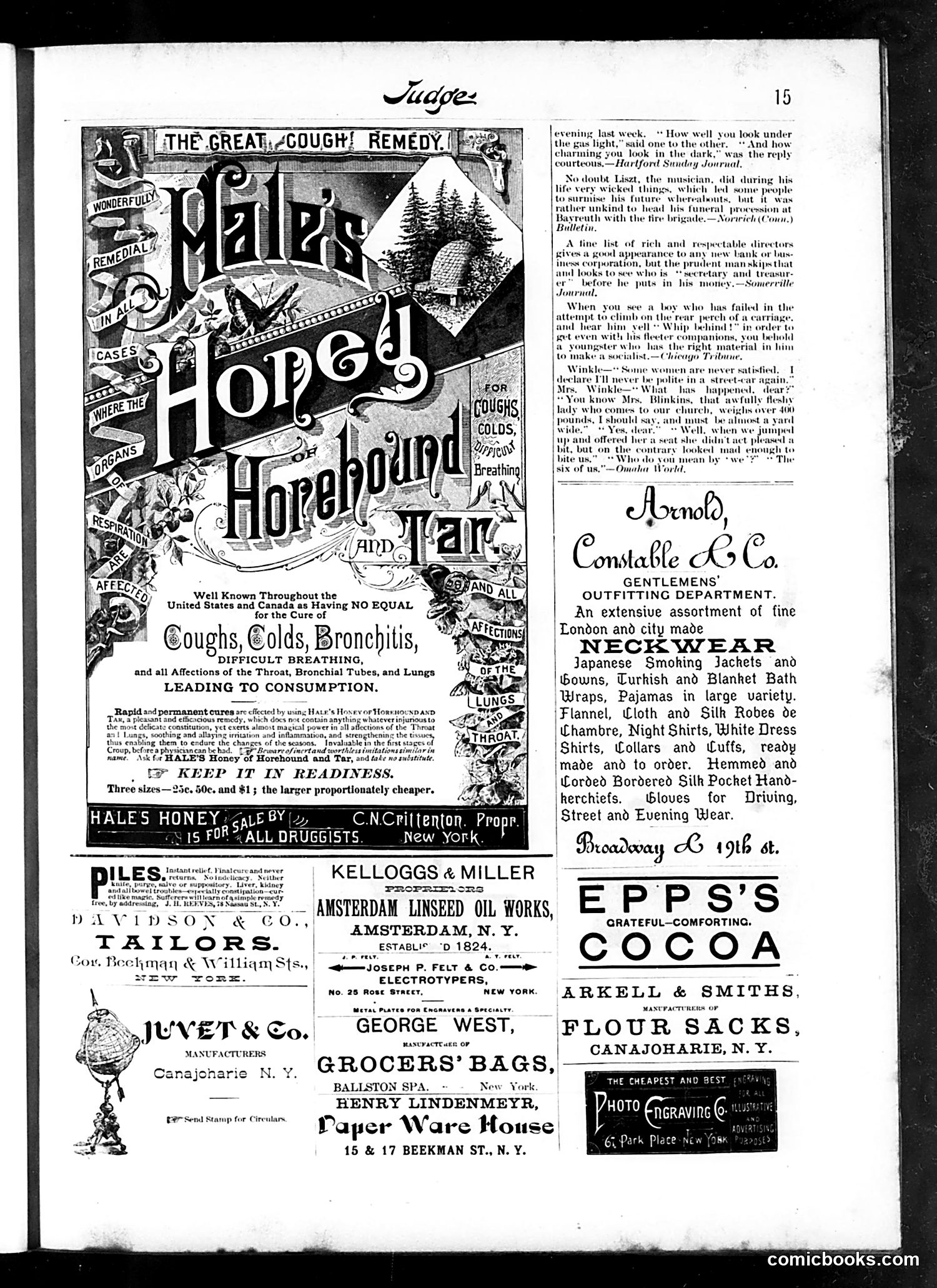 Judge — October 23, 1886 — page 15 of 19