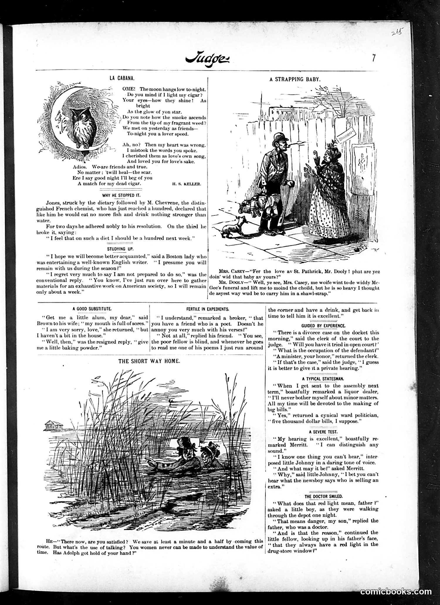 Judge — November 13, 1886 — page 7 of 16