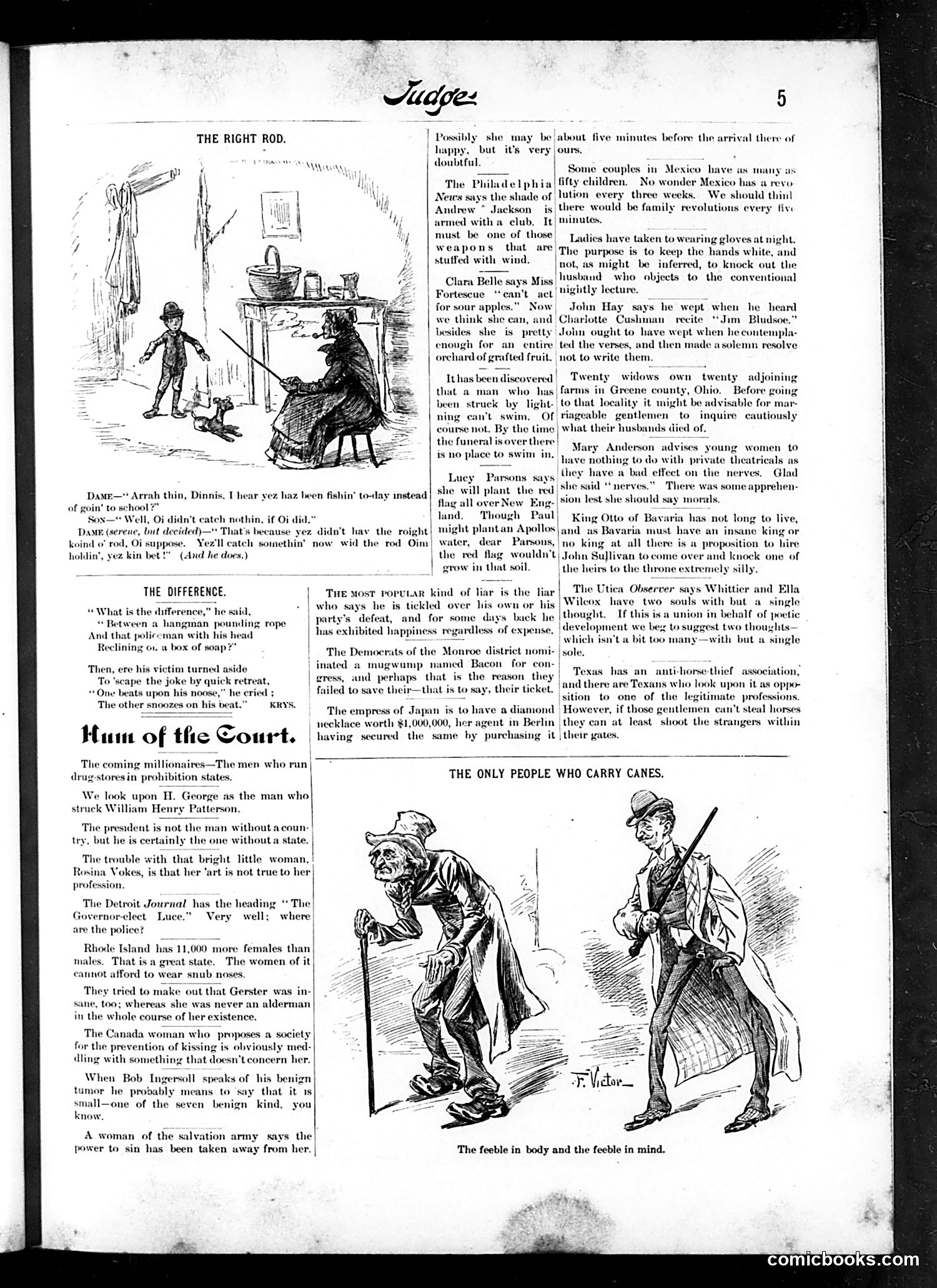 Judge — November 20, 1886 — page 5 of 16