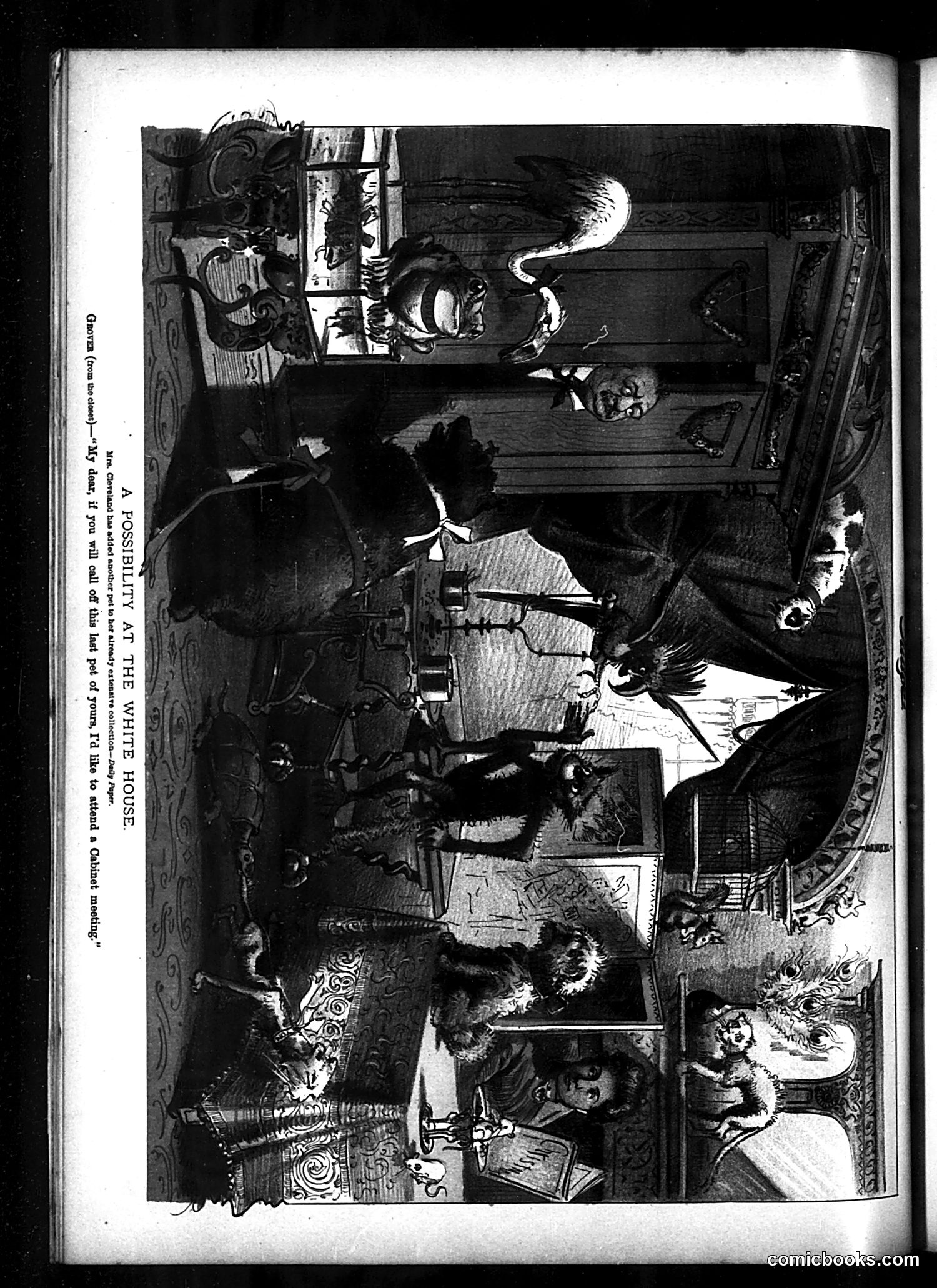 Judge — January 22, 1887 — page 16 of 16