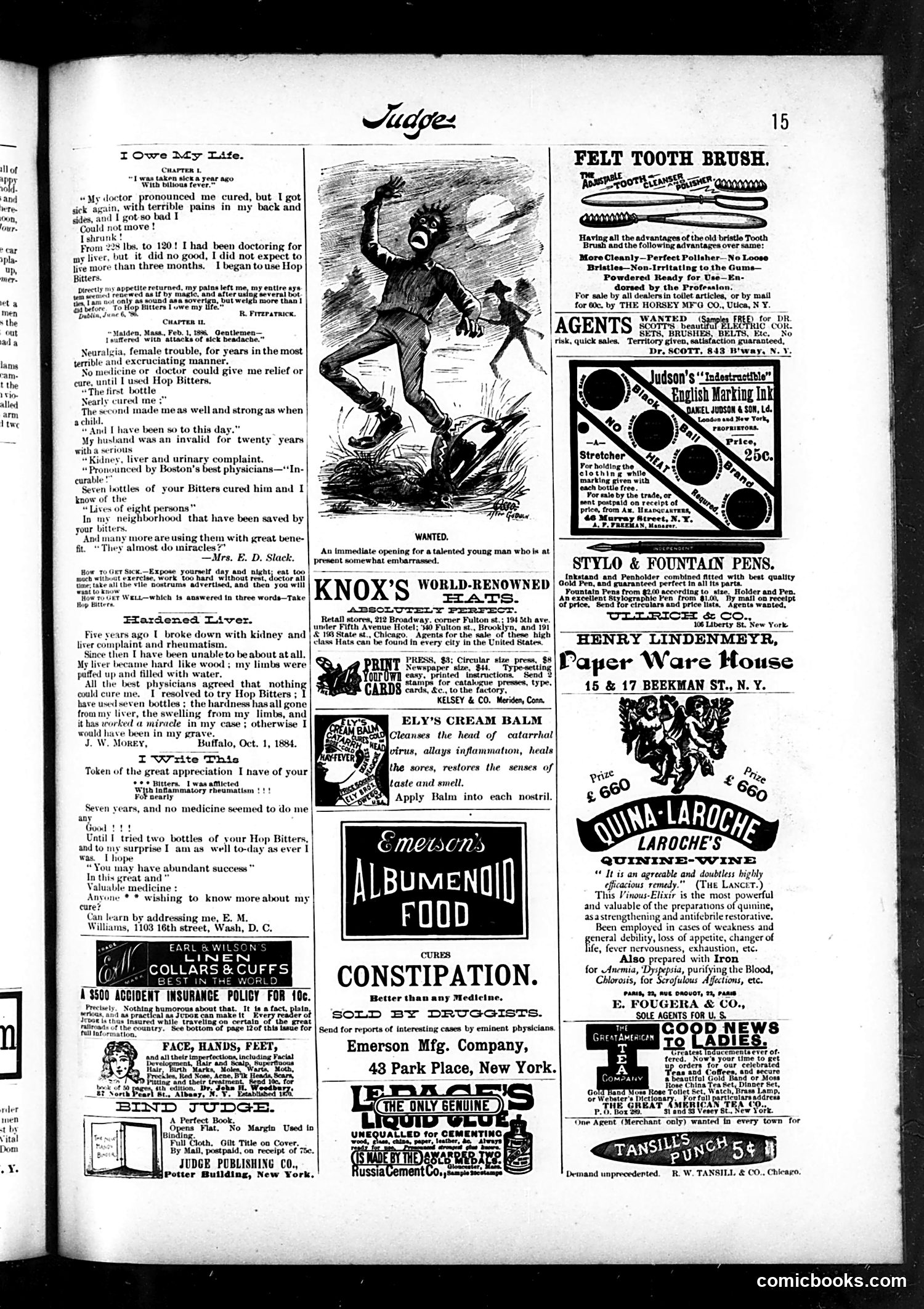 Judge — June 4, 1887 — page 15 of 16