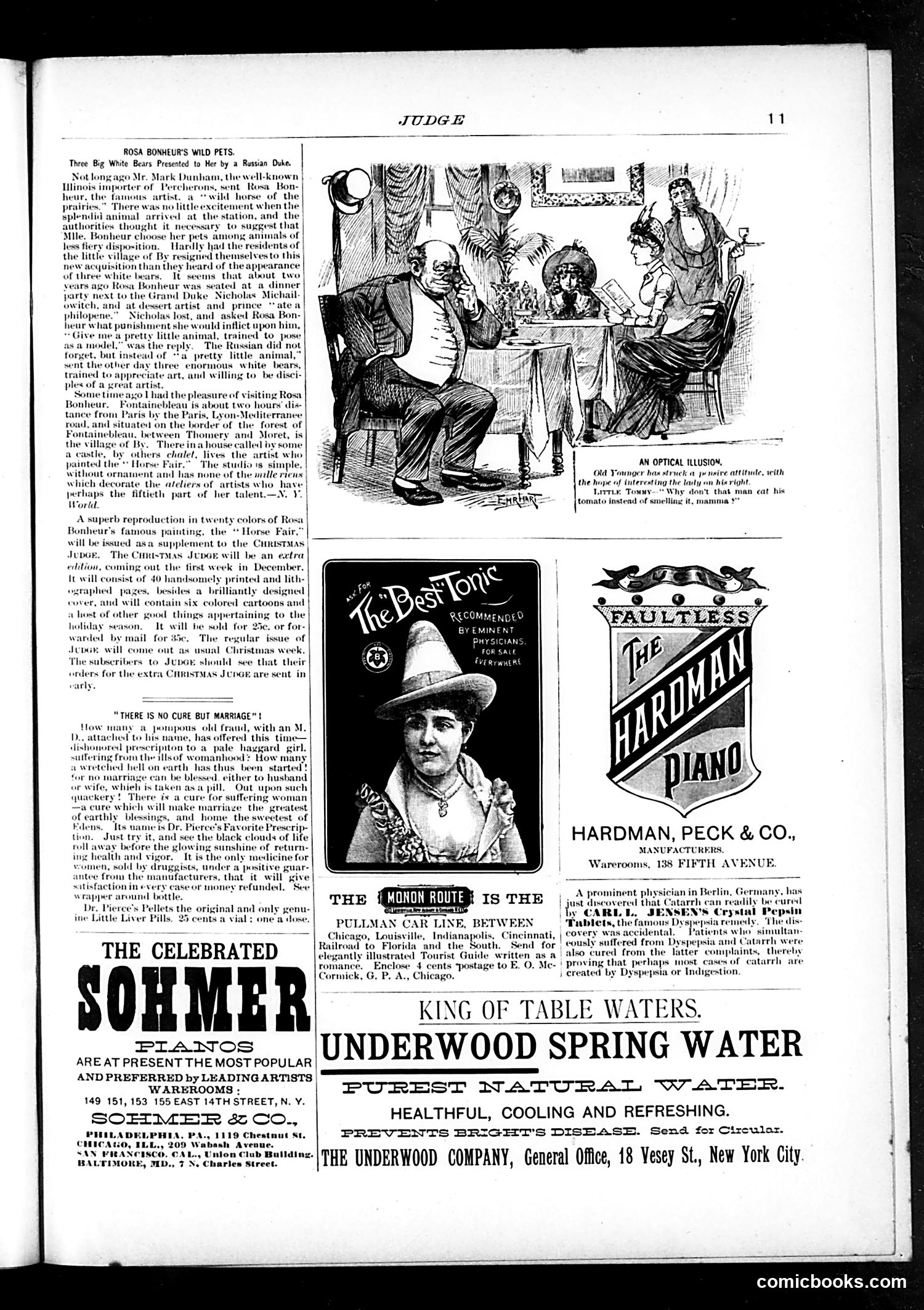 Judge — December 3, 1887 — page 11 of 16