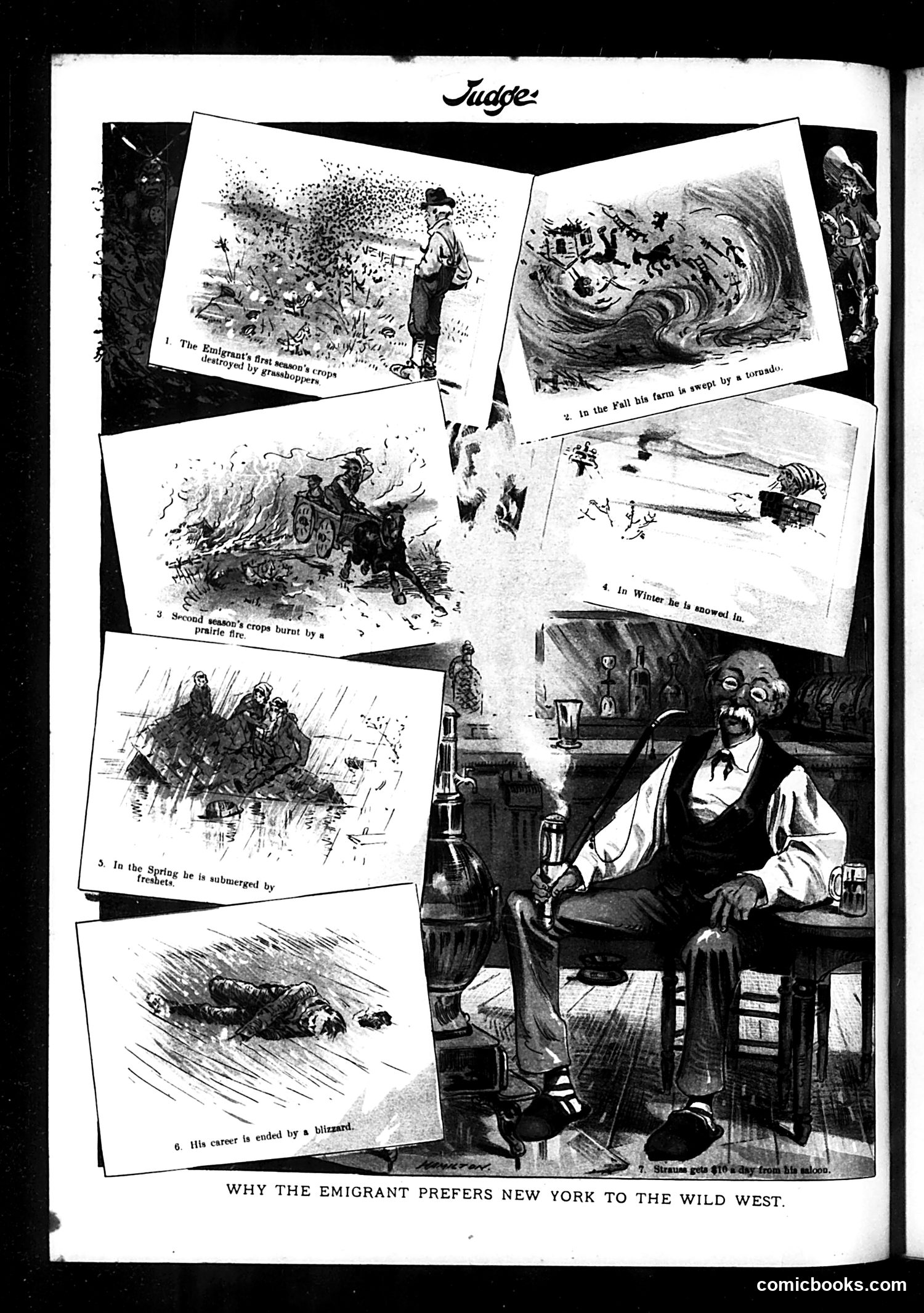 Judge — February 4, 1888 — page 16 of 16