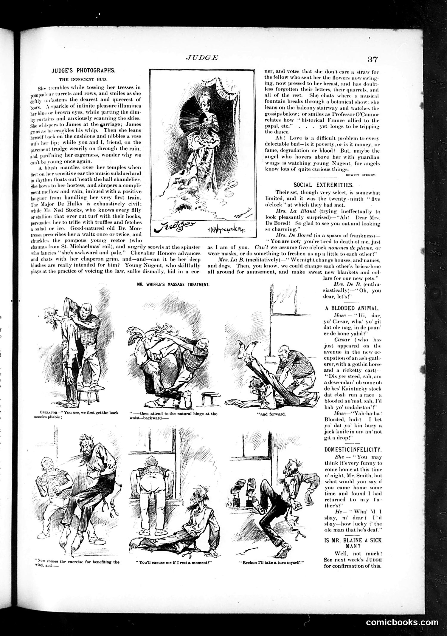Judge — April 28, 1888 — page 5 of 16