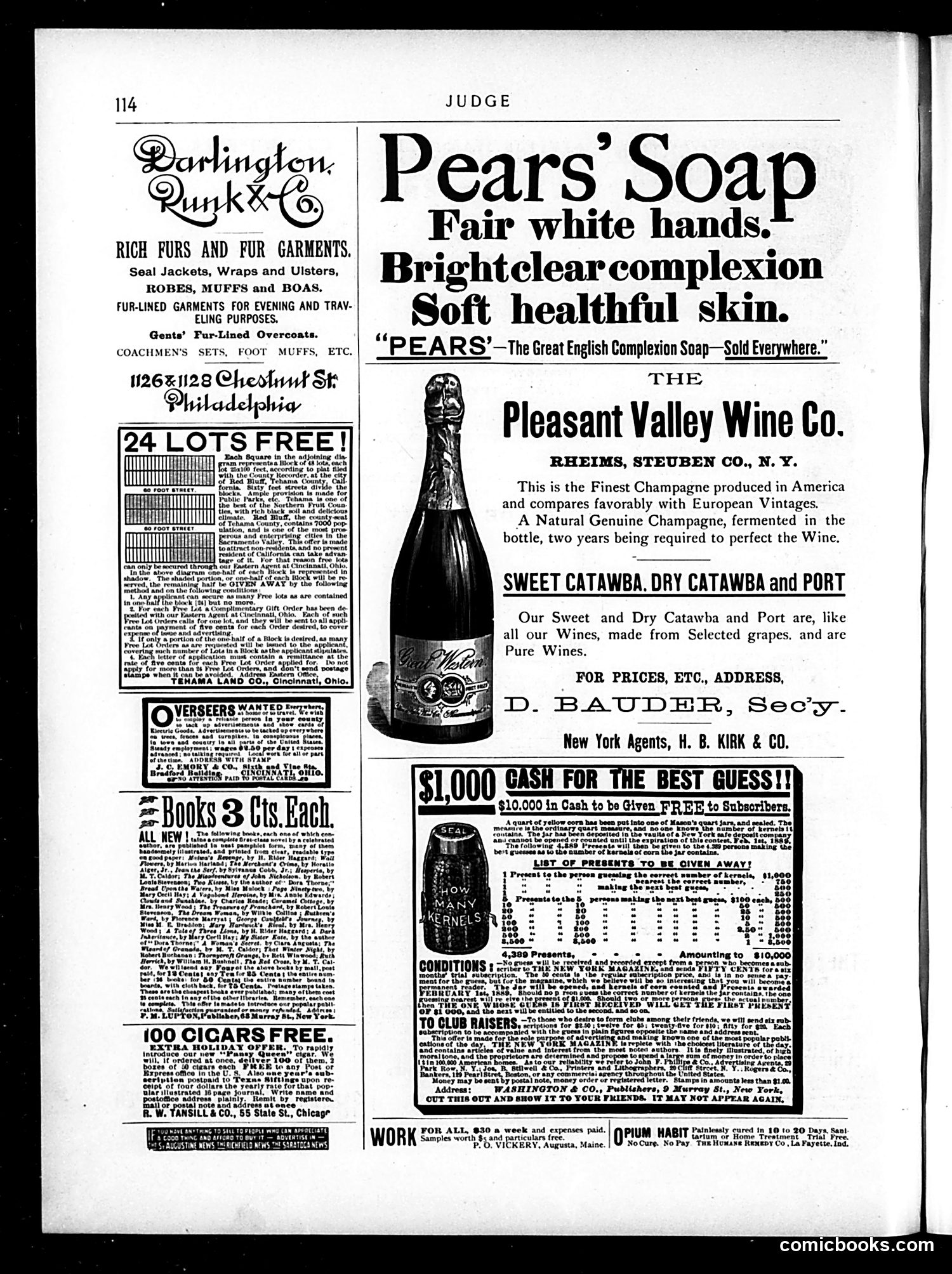 Judge — November 24, 1888 — page 14 of 16