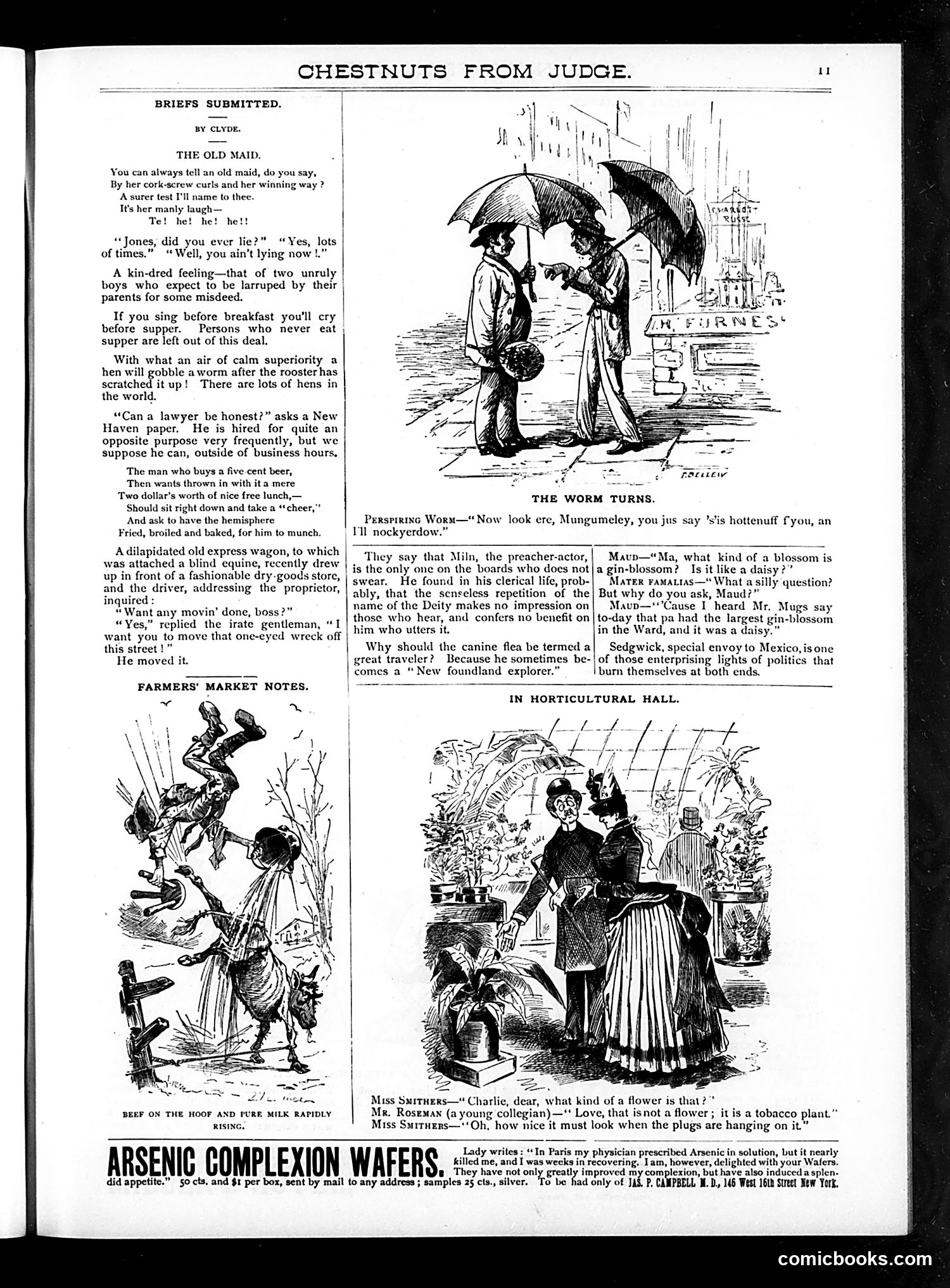 Judge — 1888 — page 17 of 87