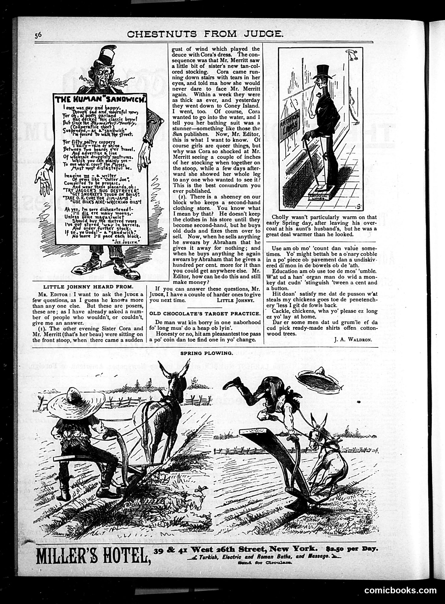 Judge — 1888 — page 62 of 87