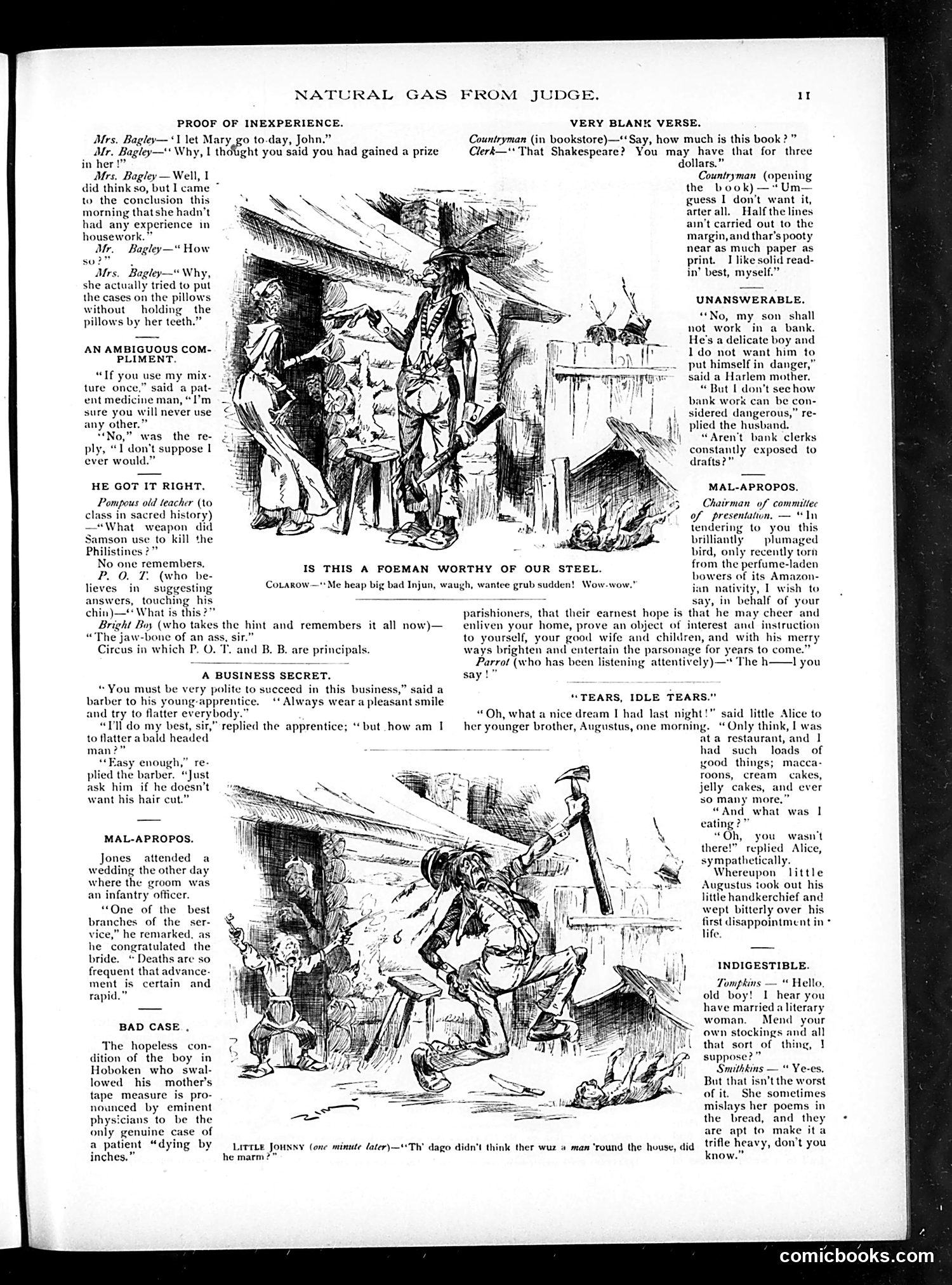 Judge — 1888 — page 13 of 72