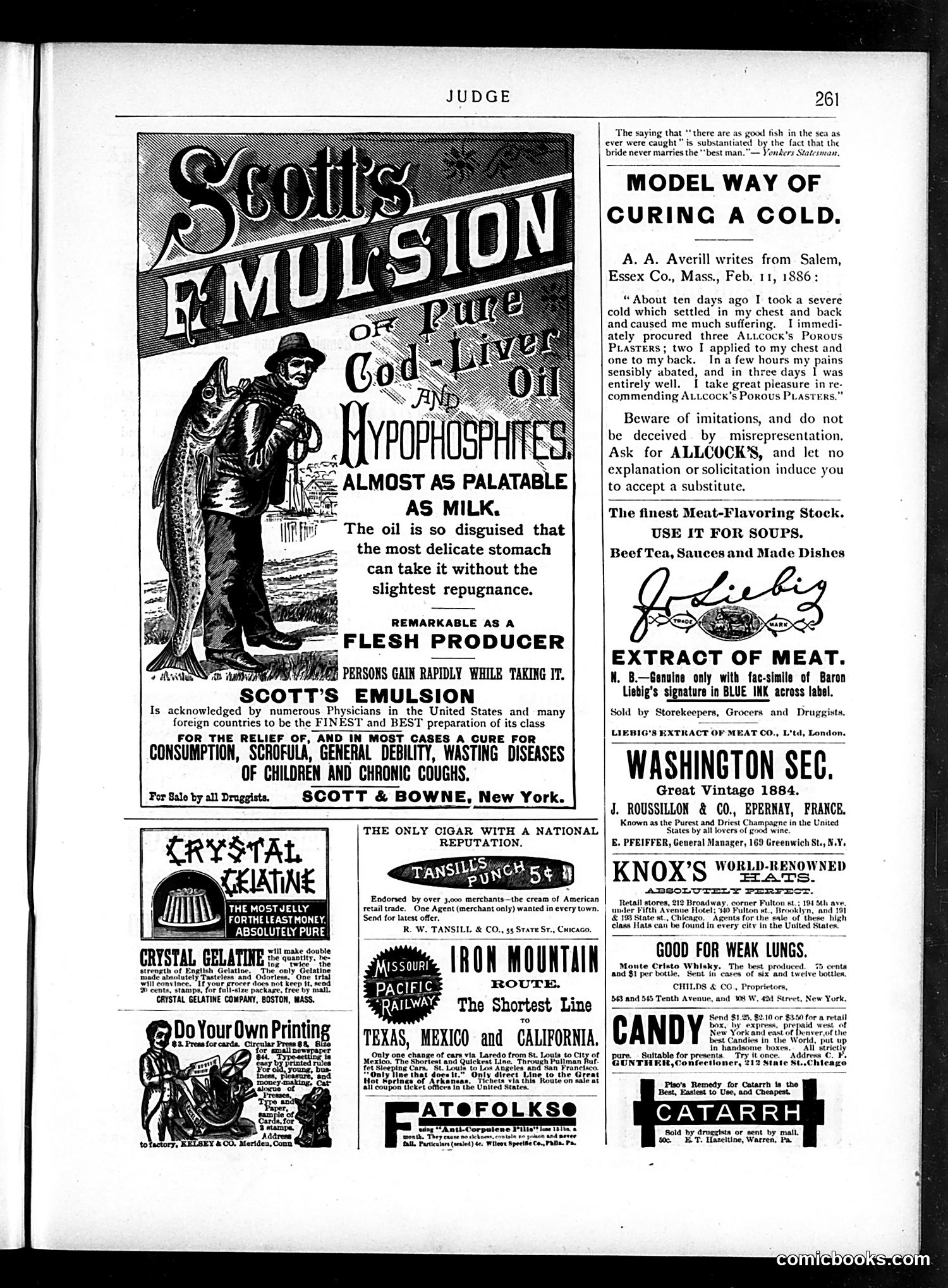 Judge — January 26, 1889 — page 13 of 16