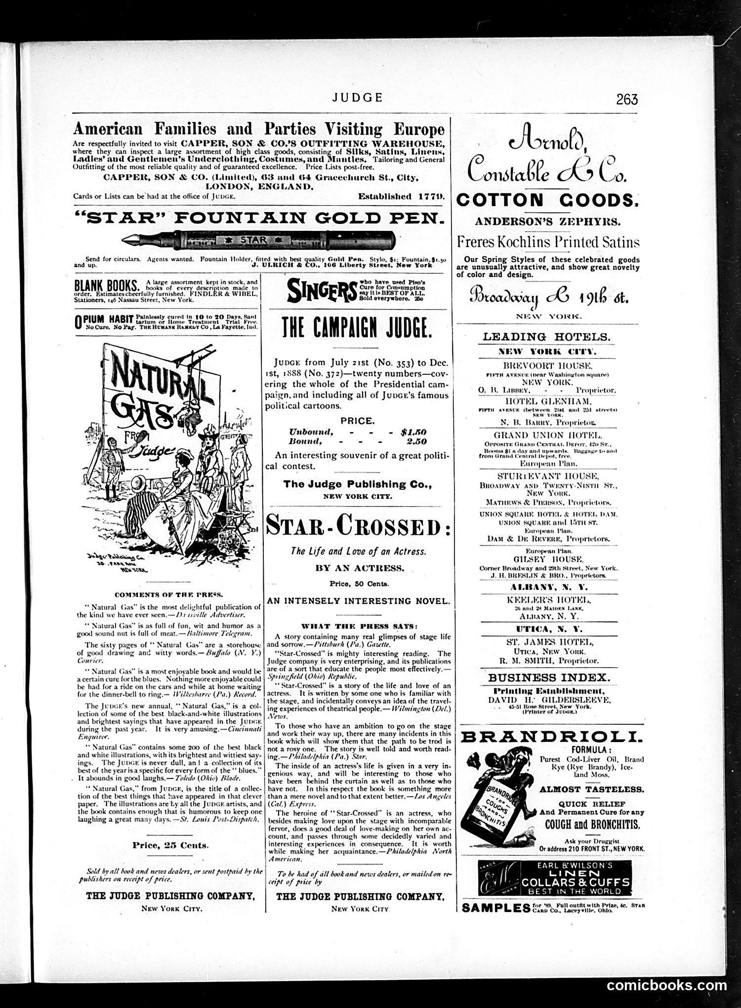Judge — January 26, 1889 — page 15 of 16