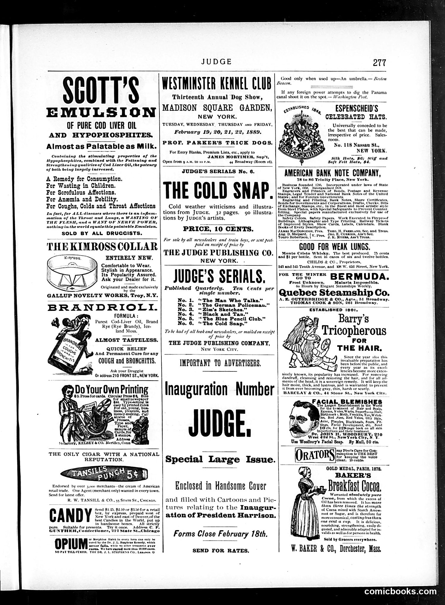Judge — February 2, 1889 — page 13 of 16