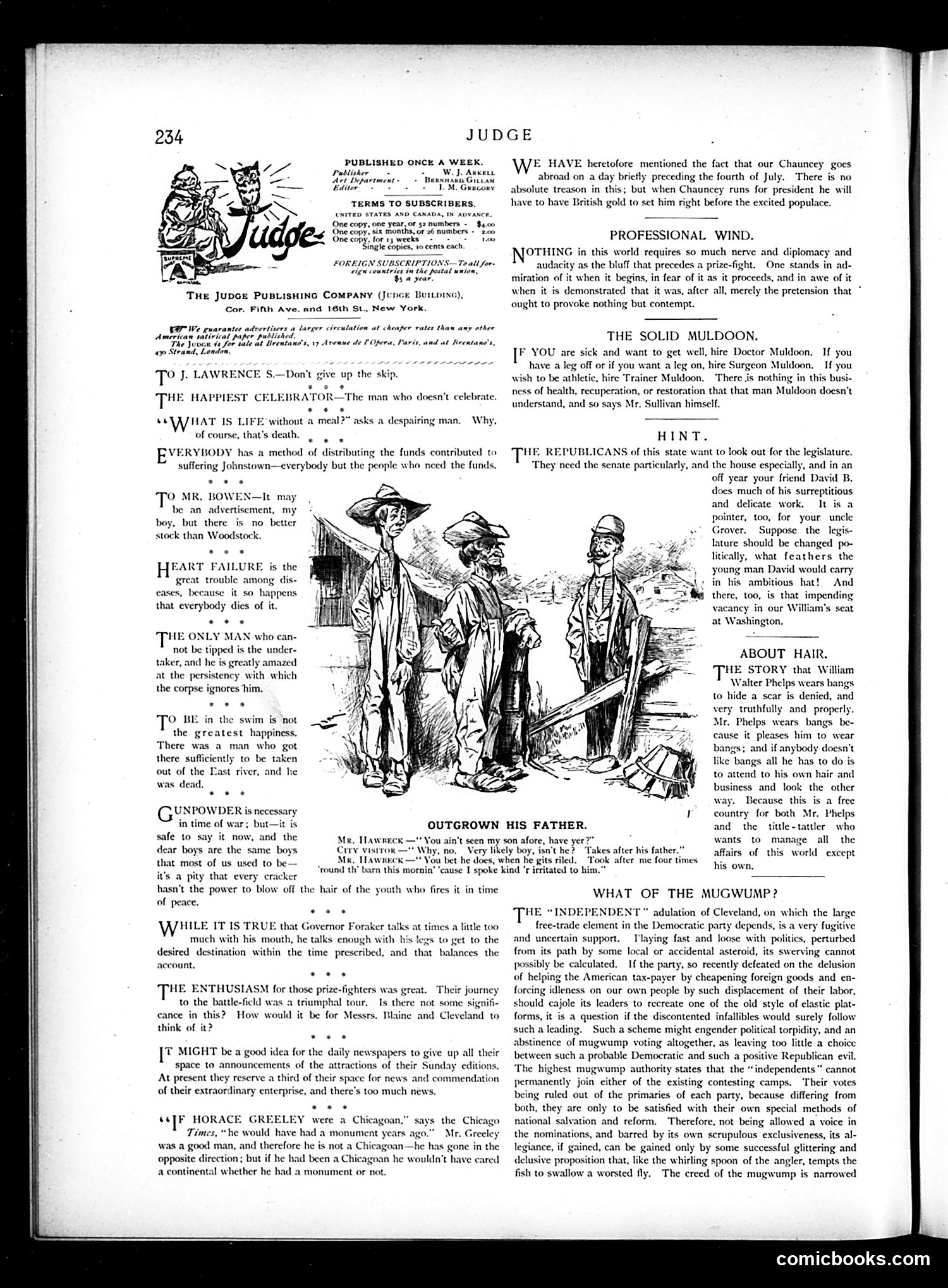 Judge — July 20, 1889 — page 2 of 16