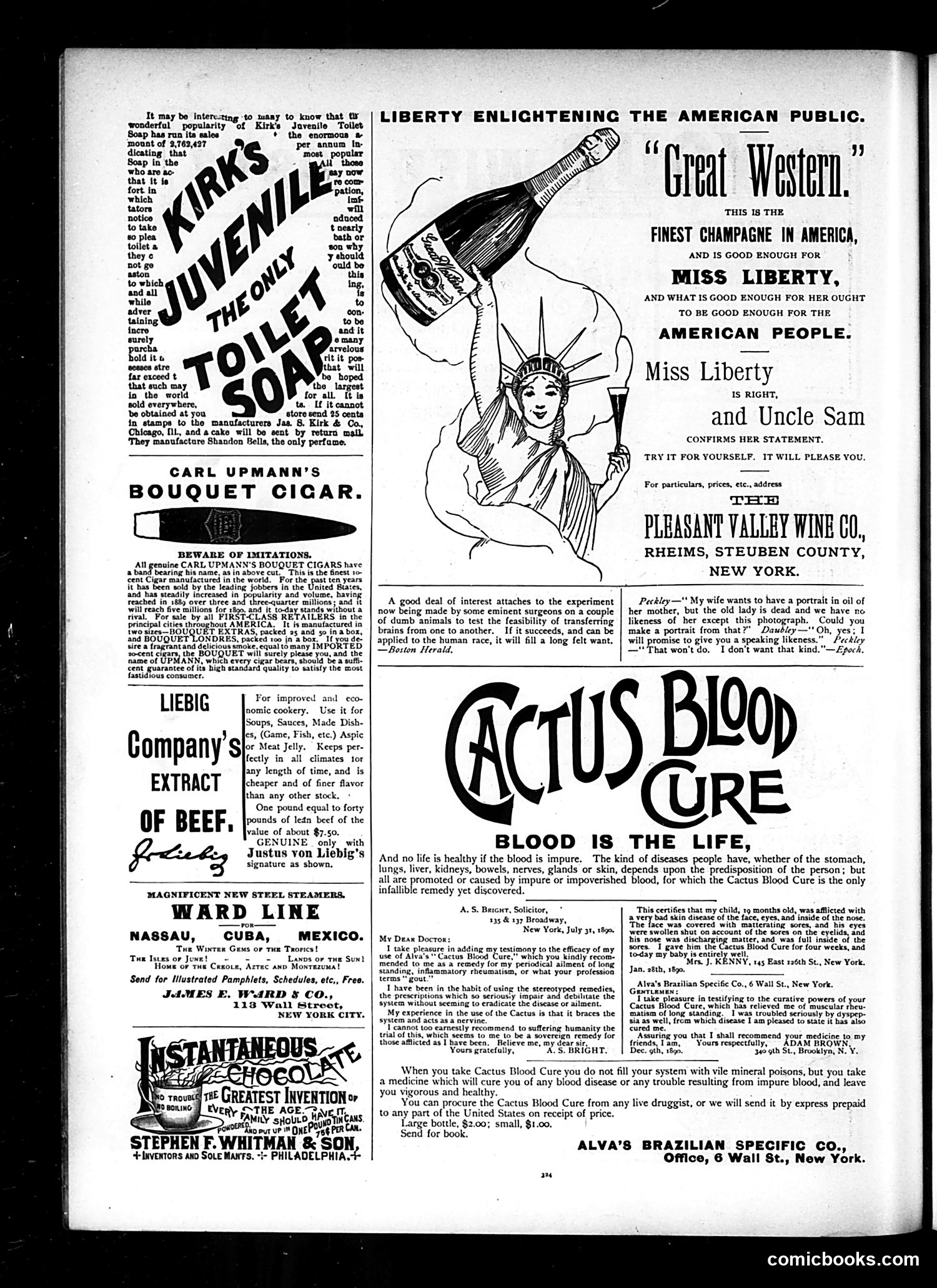 Judge — February 7, 1891 — page 14 of 18