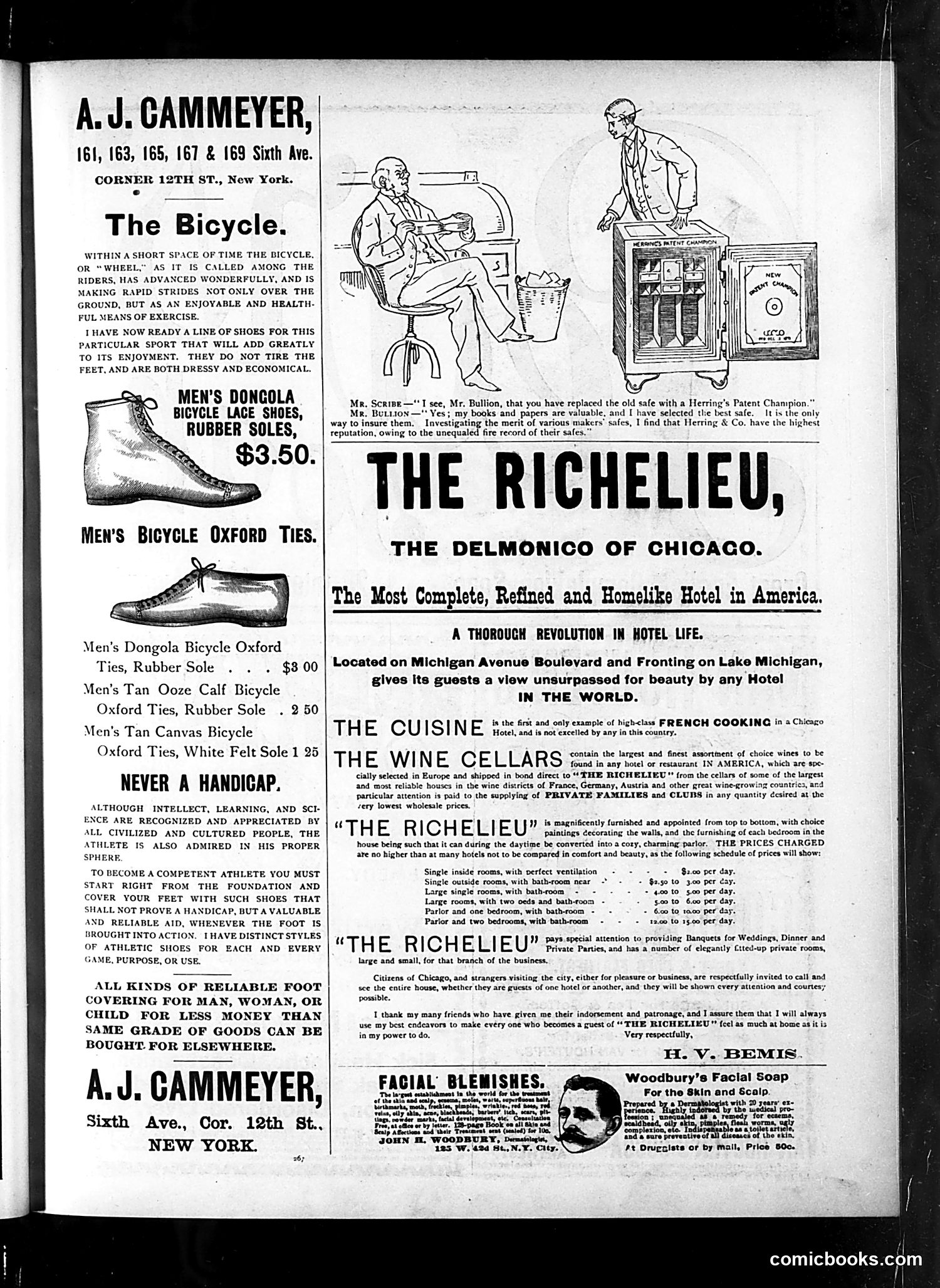 Judge — July 25, 1891 — page 19 of 20