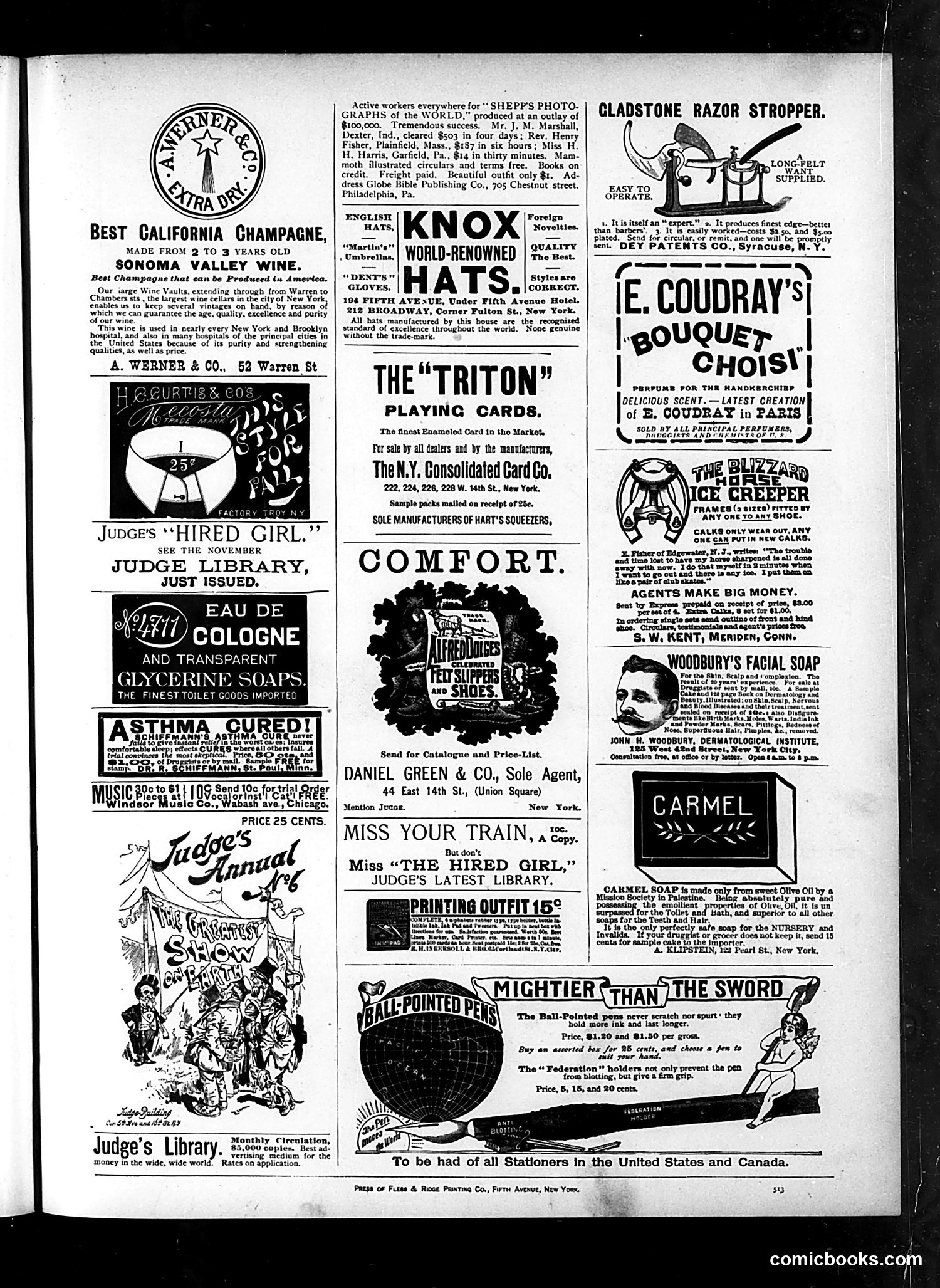 Judge — November 7, 1891 — page 17 of 18