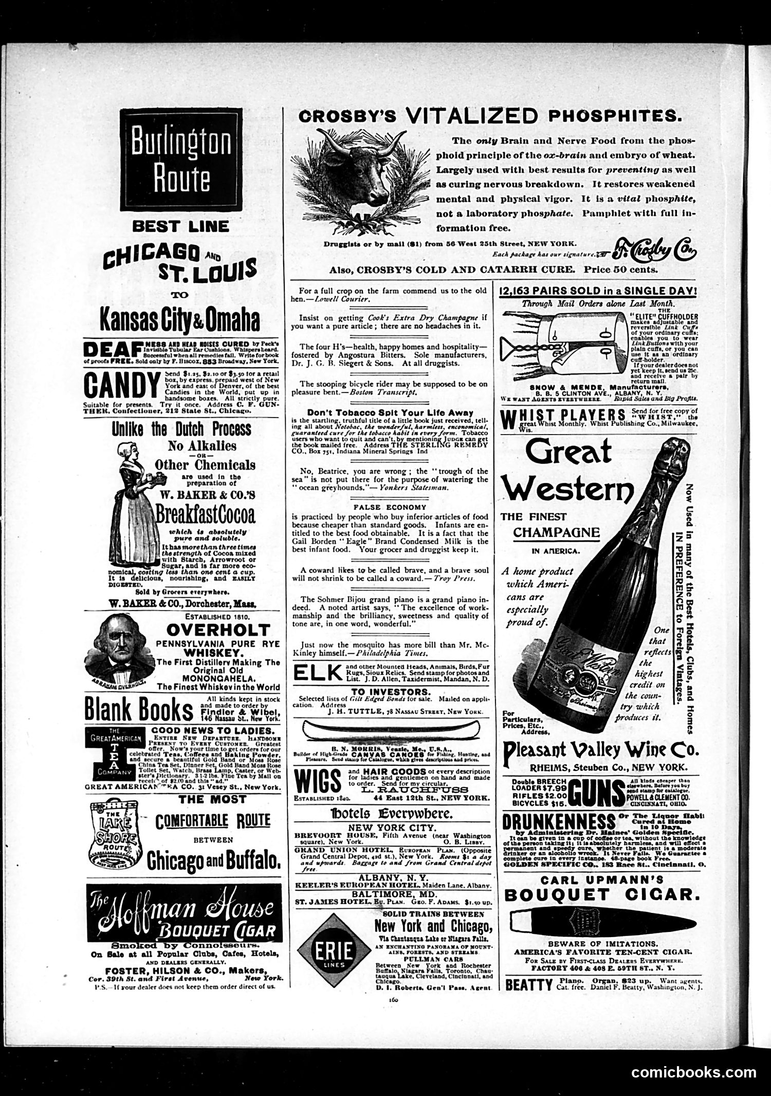 Judge — September 3, 1892 — page 12 of 16