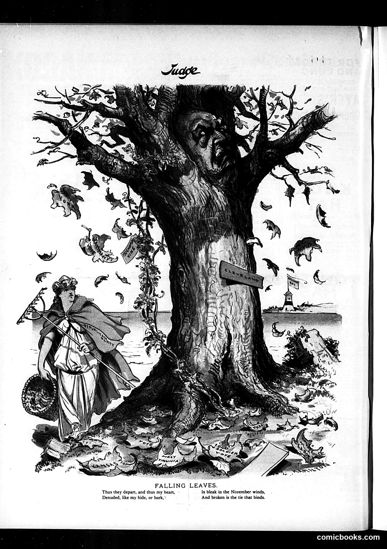 Judge — November 5, 1892 — page 16 of 16