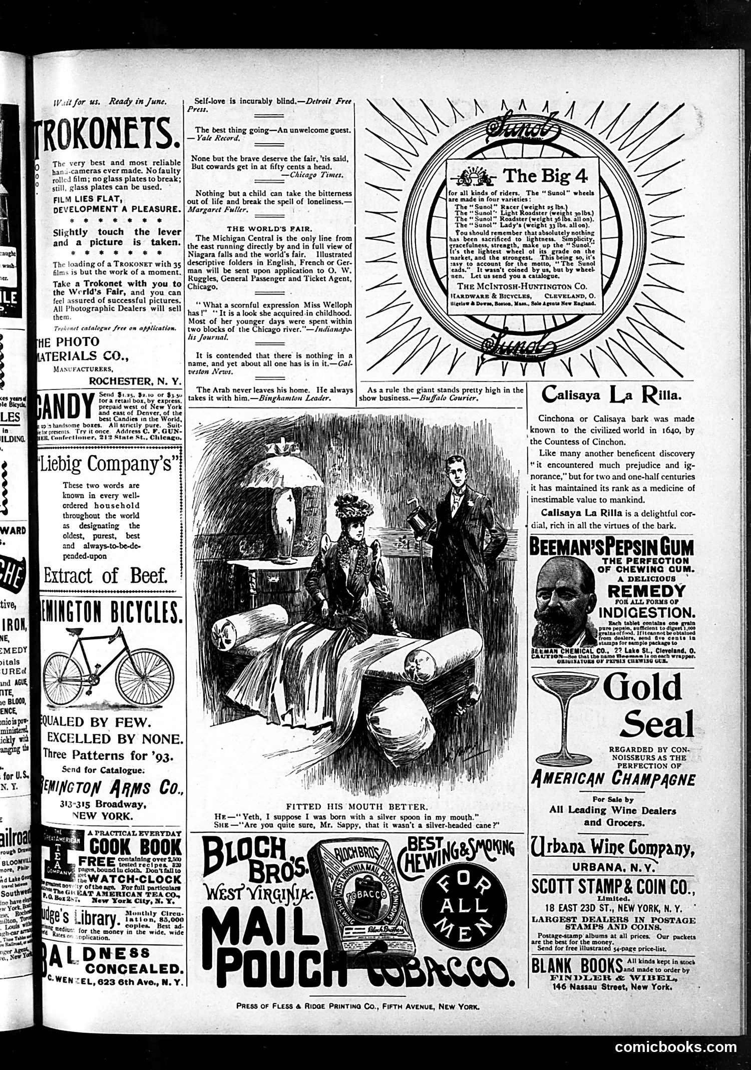 Judge — June 17, 1893 — page 15 of 16
