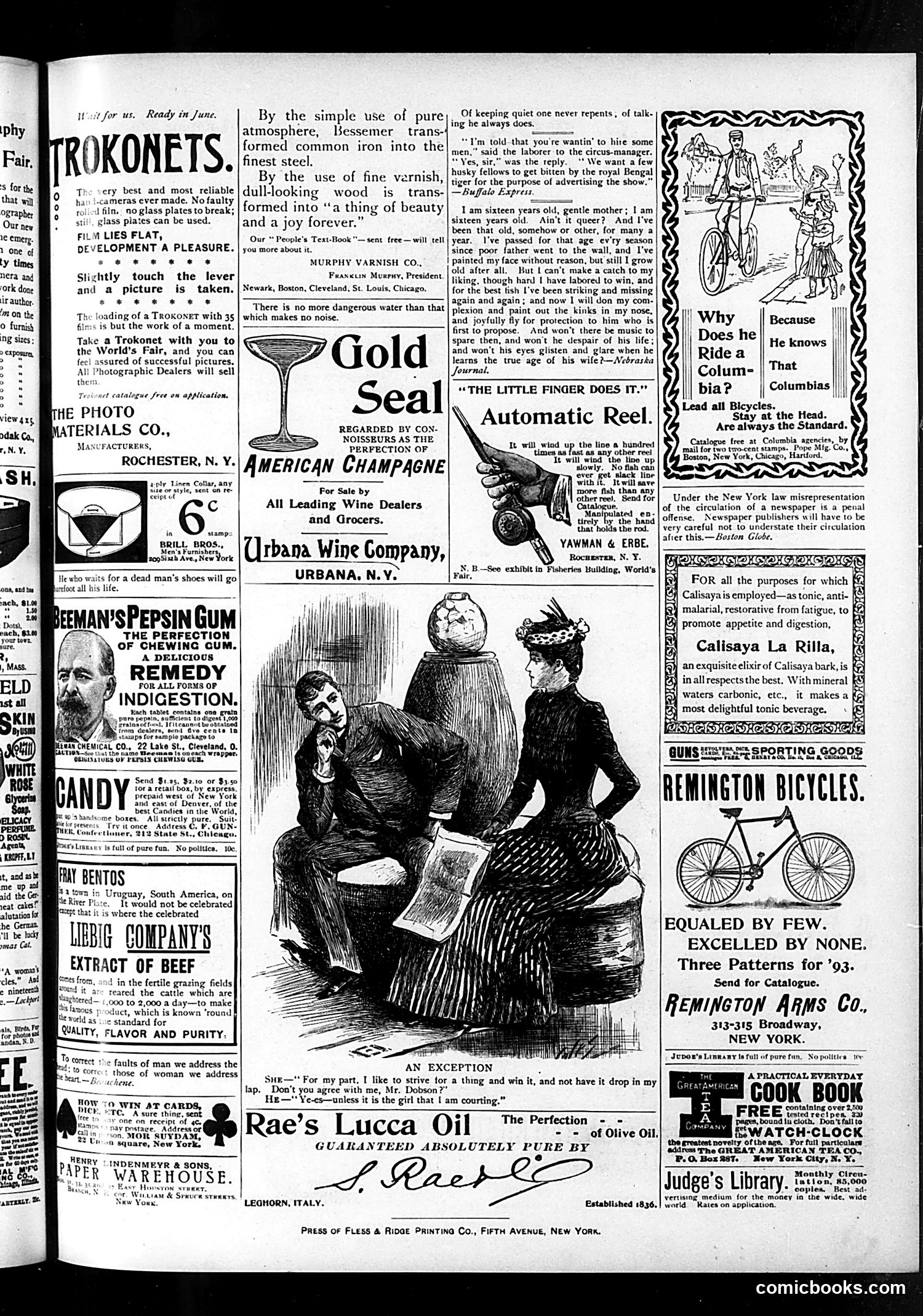 Judge — July 1, 1893 — page 15 of 17