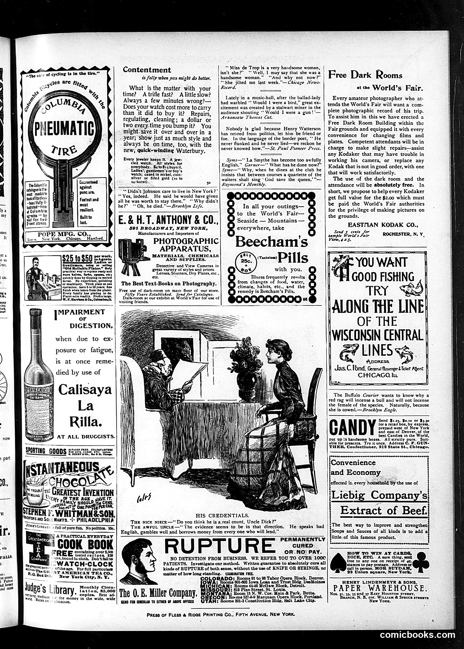 Judge — July 22, 1893 — page 15 of 16