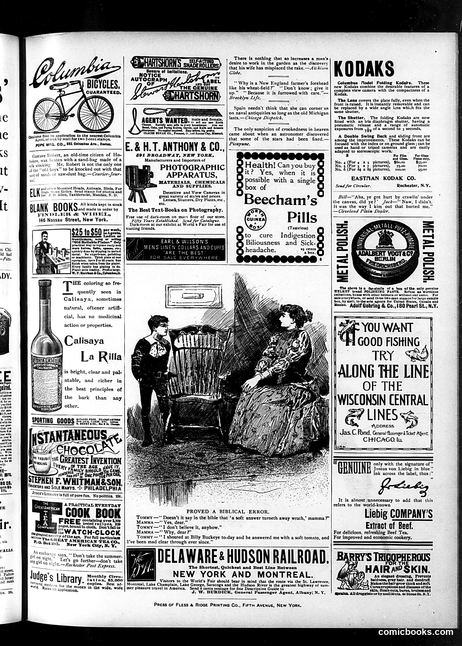 Judge — August 19, 1893 — page 15 of 16
