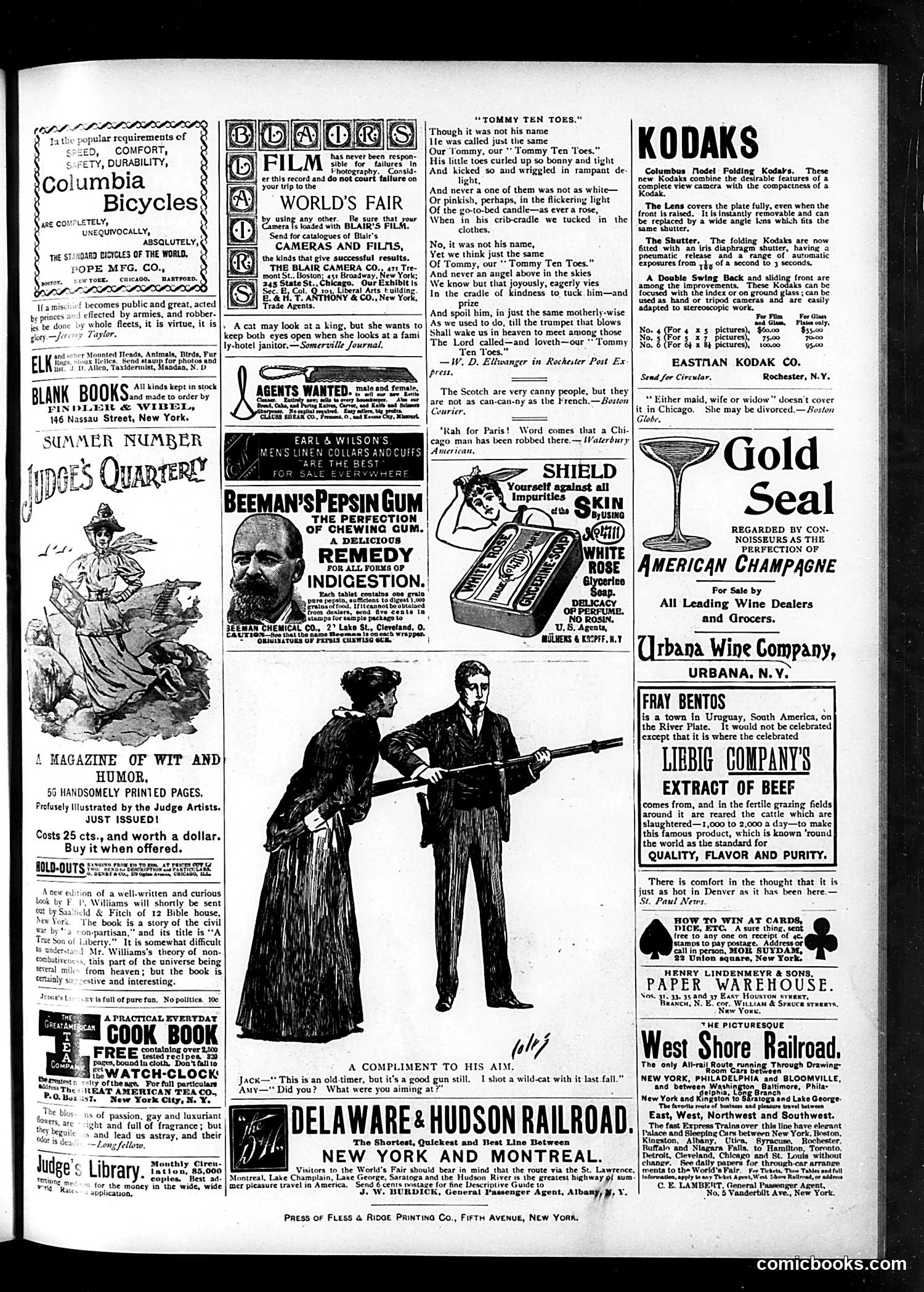 Judge — August 26, 1893 — page 15 of 16