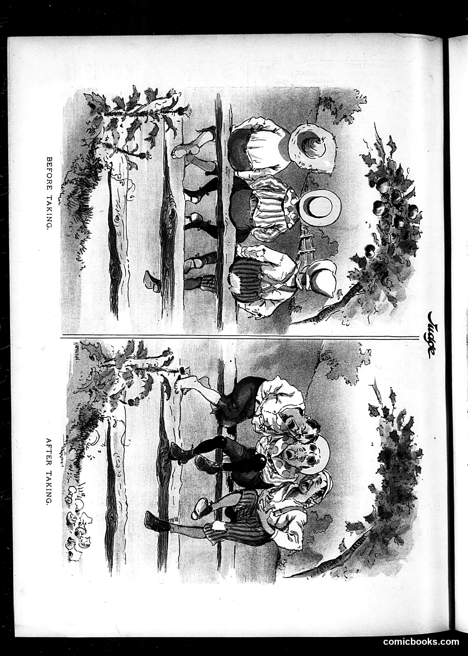 Judge — September 9, 1893 — page 16 of 16