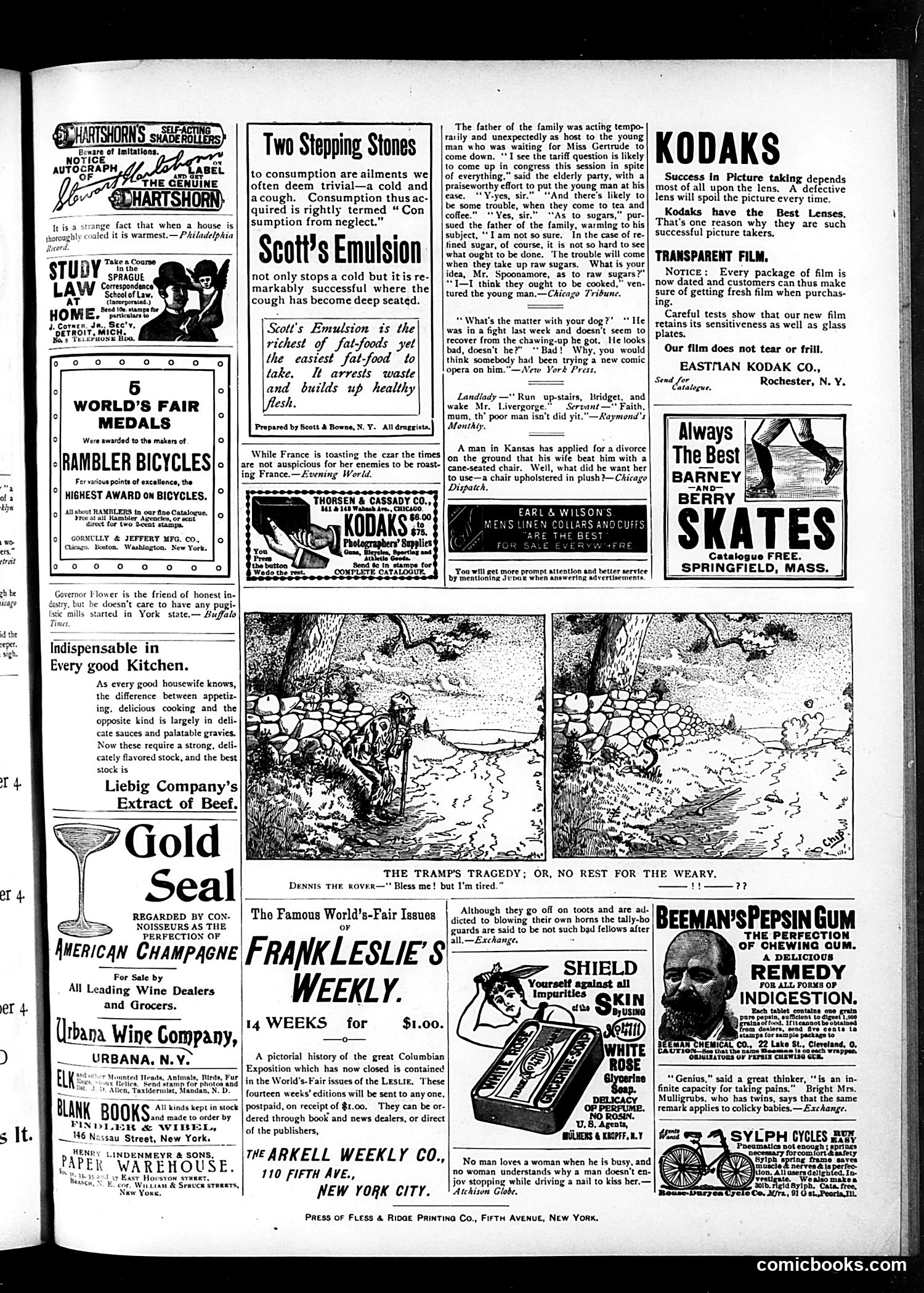 Judge — November 18, 1893 — page 15 of 16