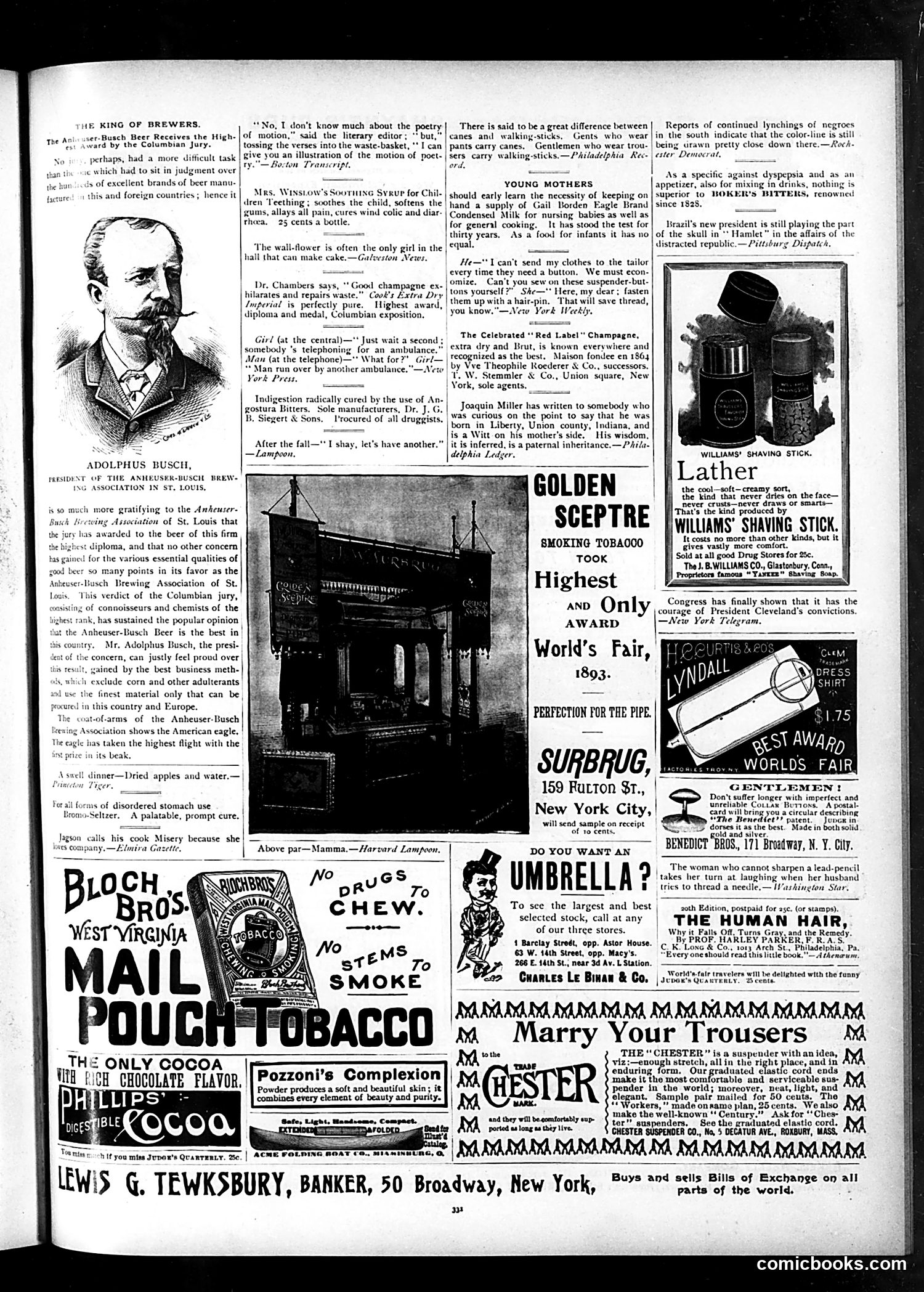 Judge — November 25, 1893 — page 11 of 16