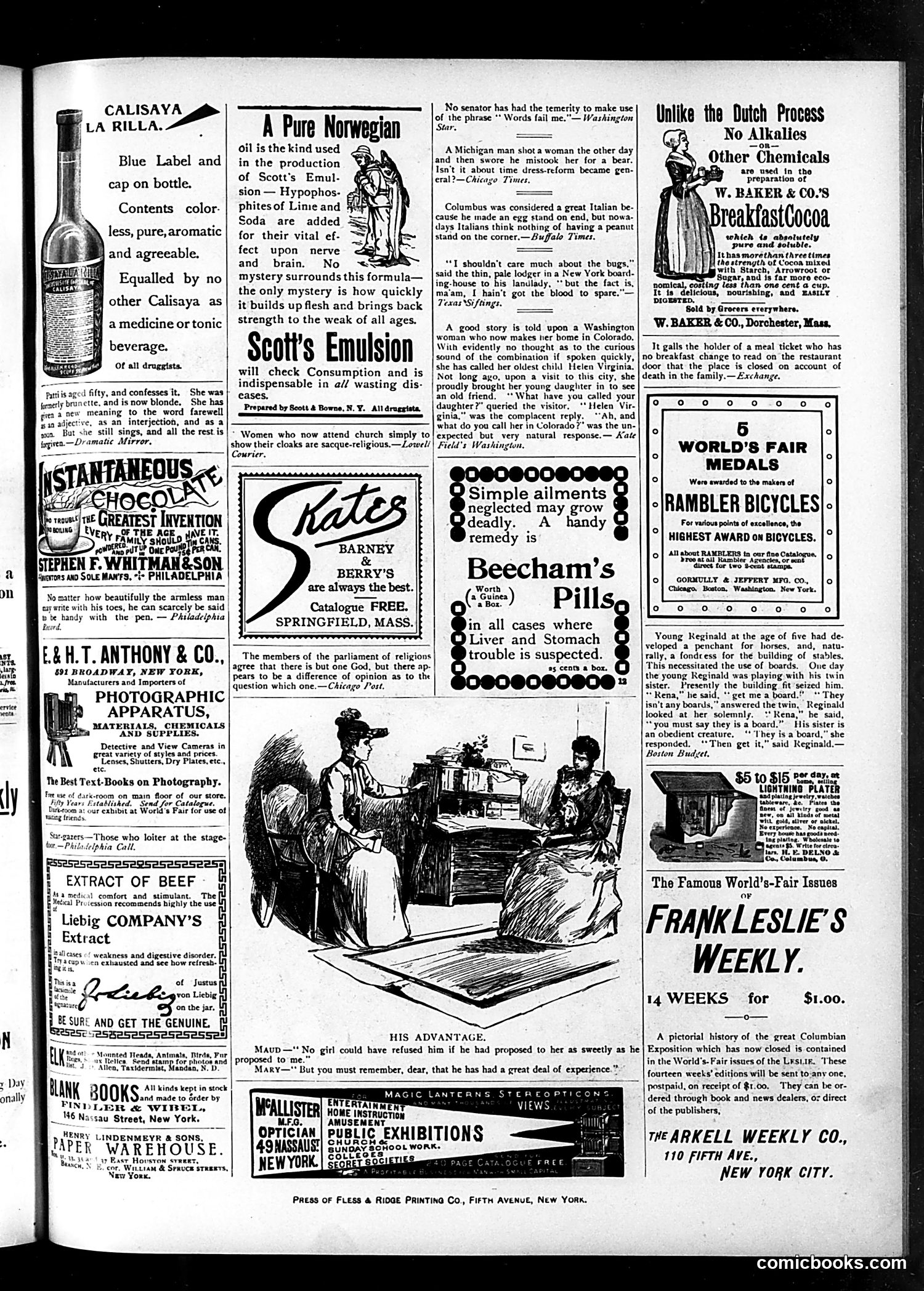 Judge — November 25, 1893 — page 15 of 16