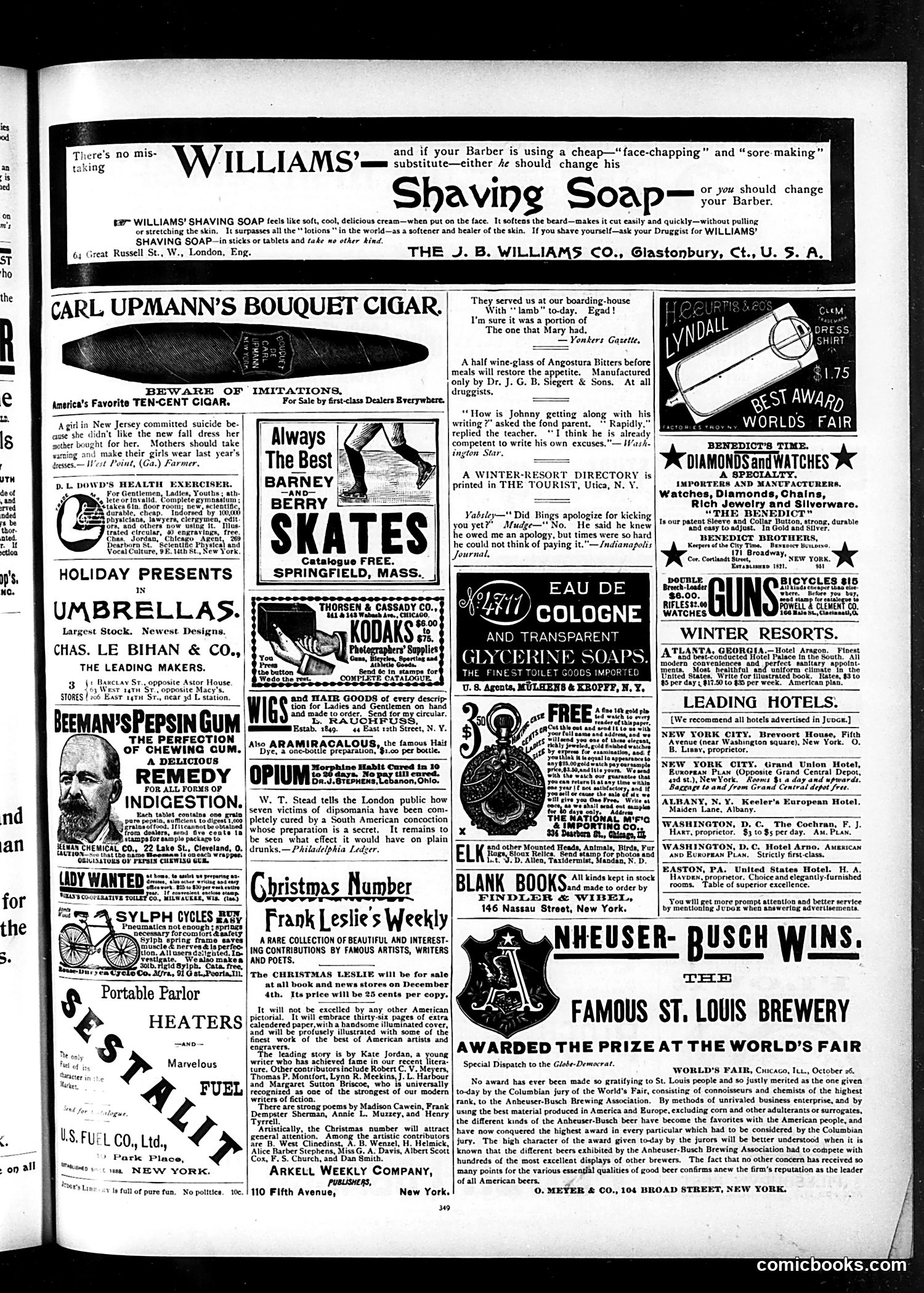 Judge — December 2, 1893 — page 13 of 16