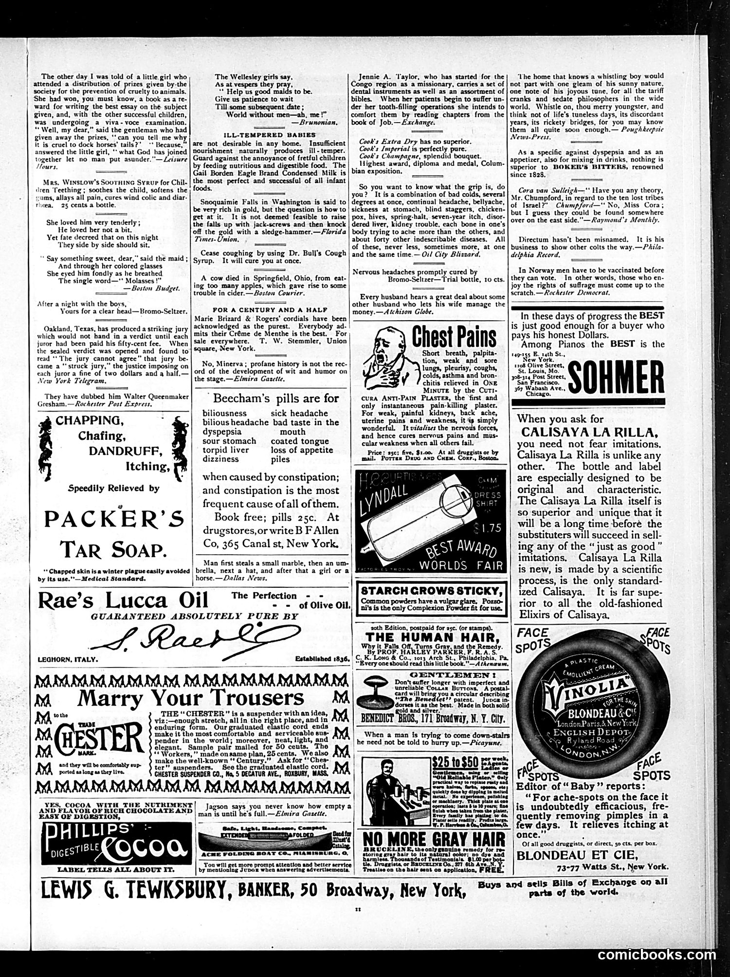Judge — January 6, 1894 — page 11 of 16