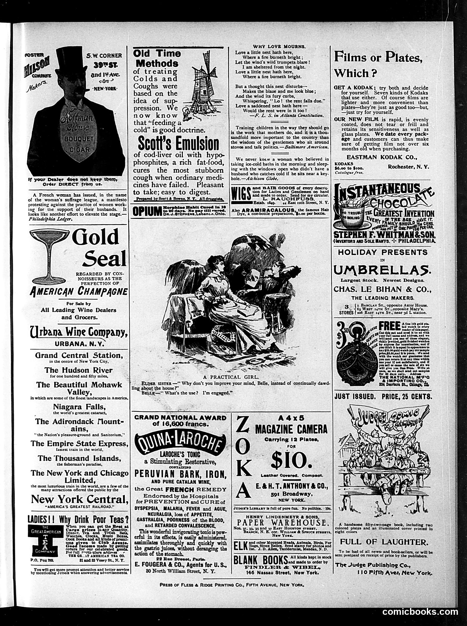 Judge — January 6, 1894 — page 15 of 16