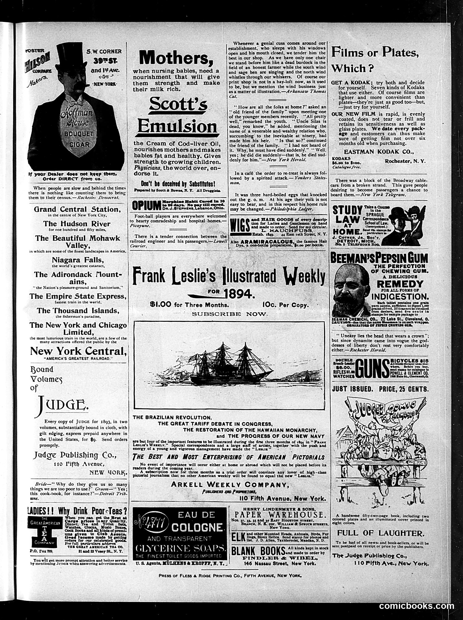 Judge — January 13, 1894 — page 15 of 16