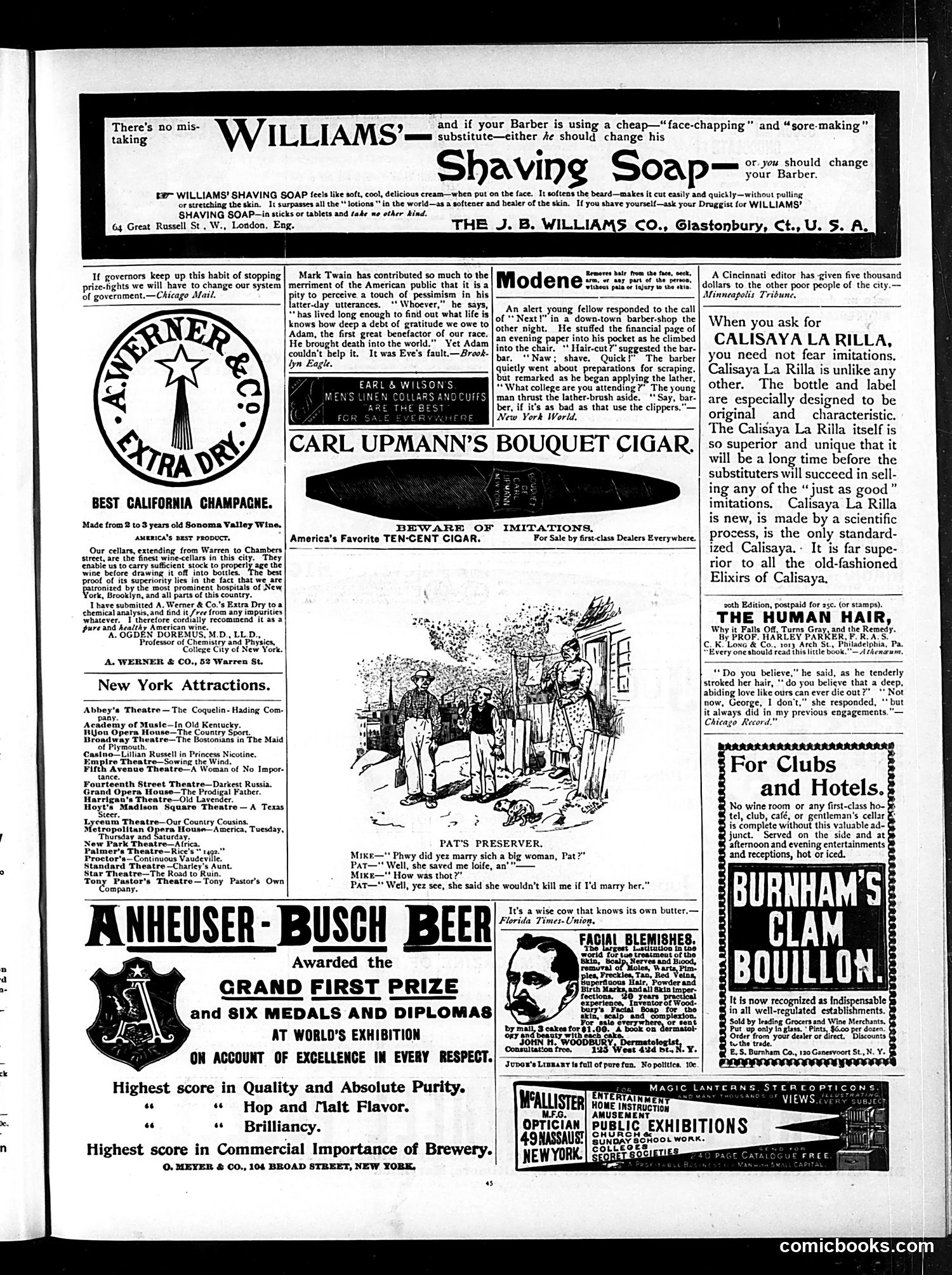 Judge — January 20, 1894 — page 13 of 16