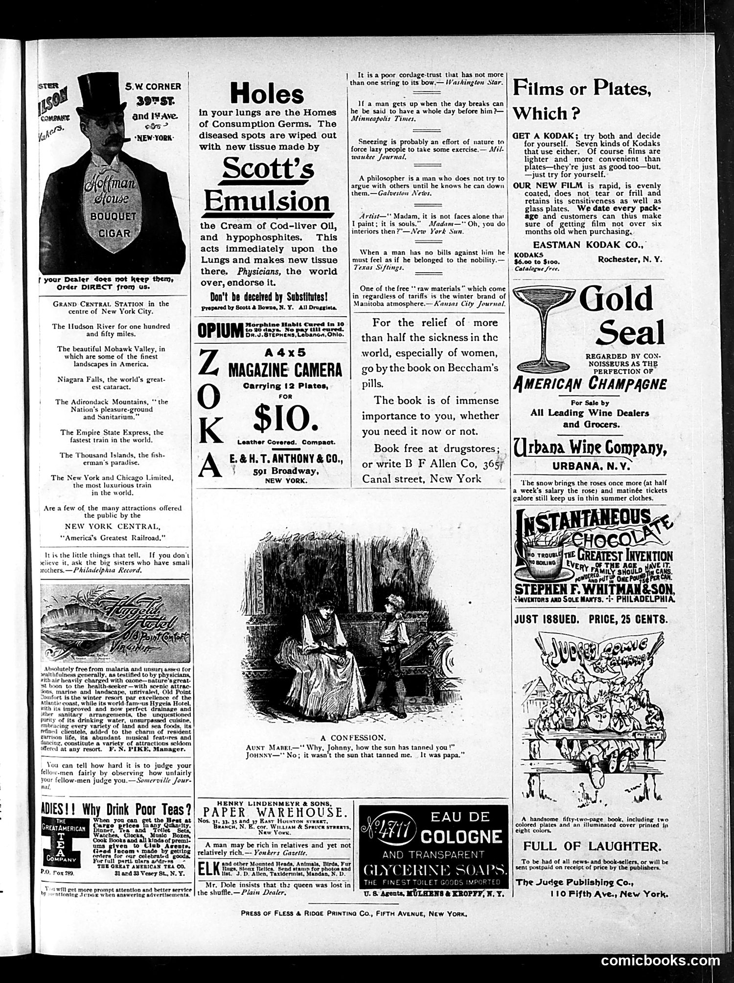 Judge — January 20, 1894 — page 15 of 16